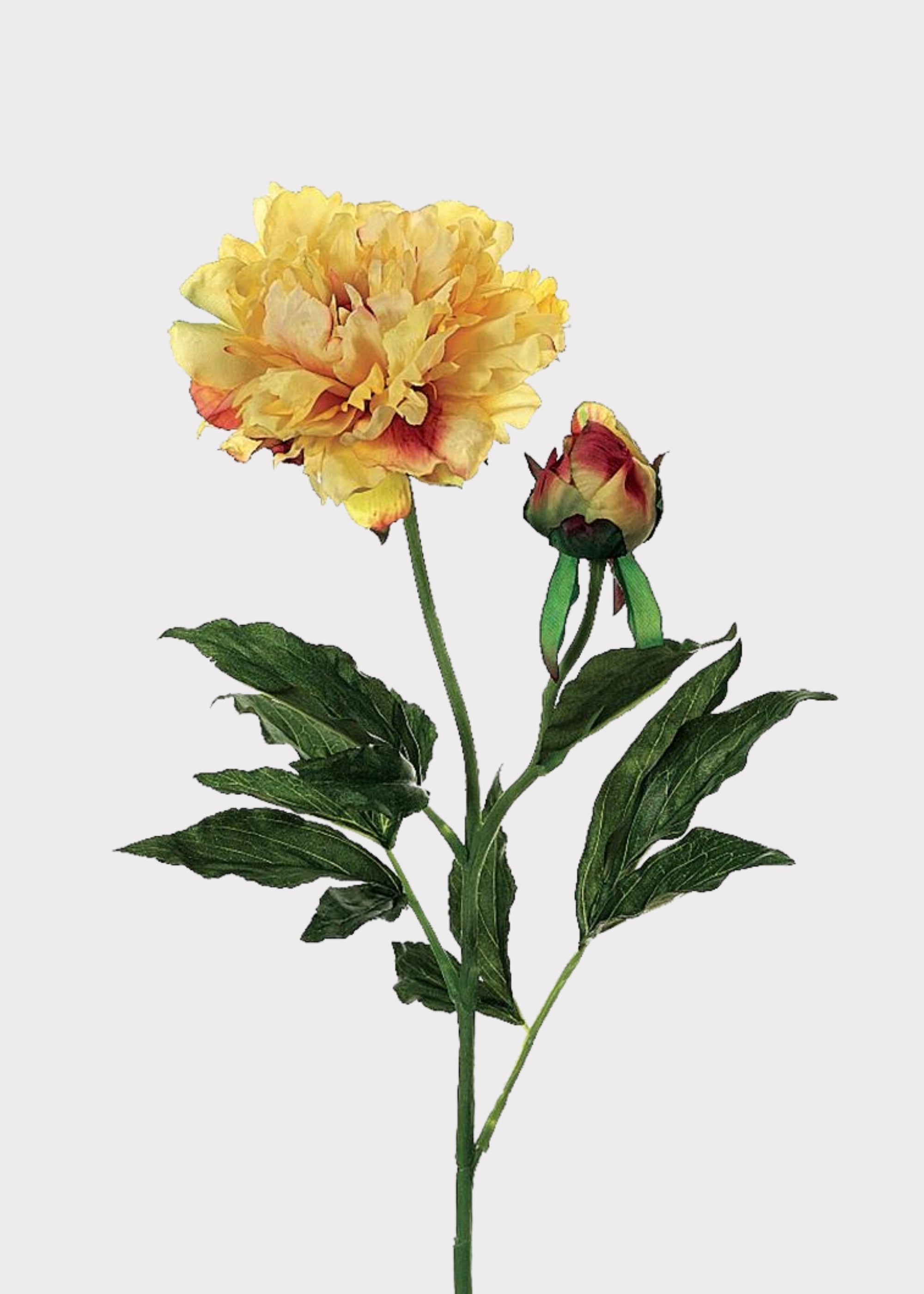 Yellow Artificial Peony Stem for Vase Styling