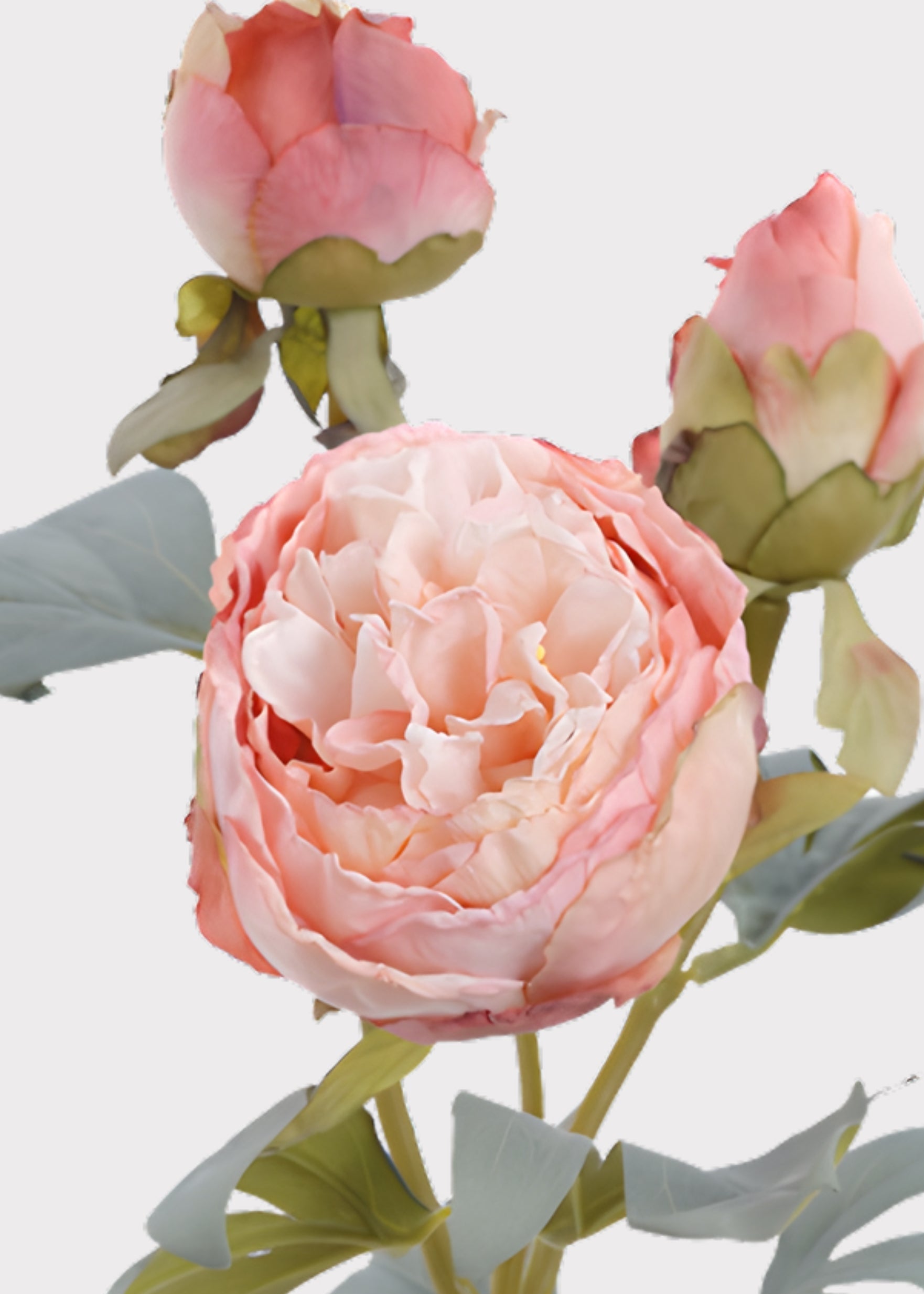 Pink Artificial Peony Stem for Home Decor