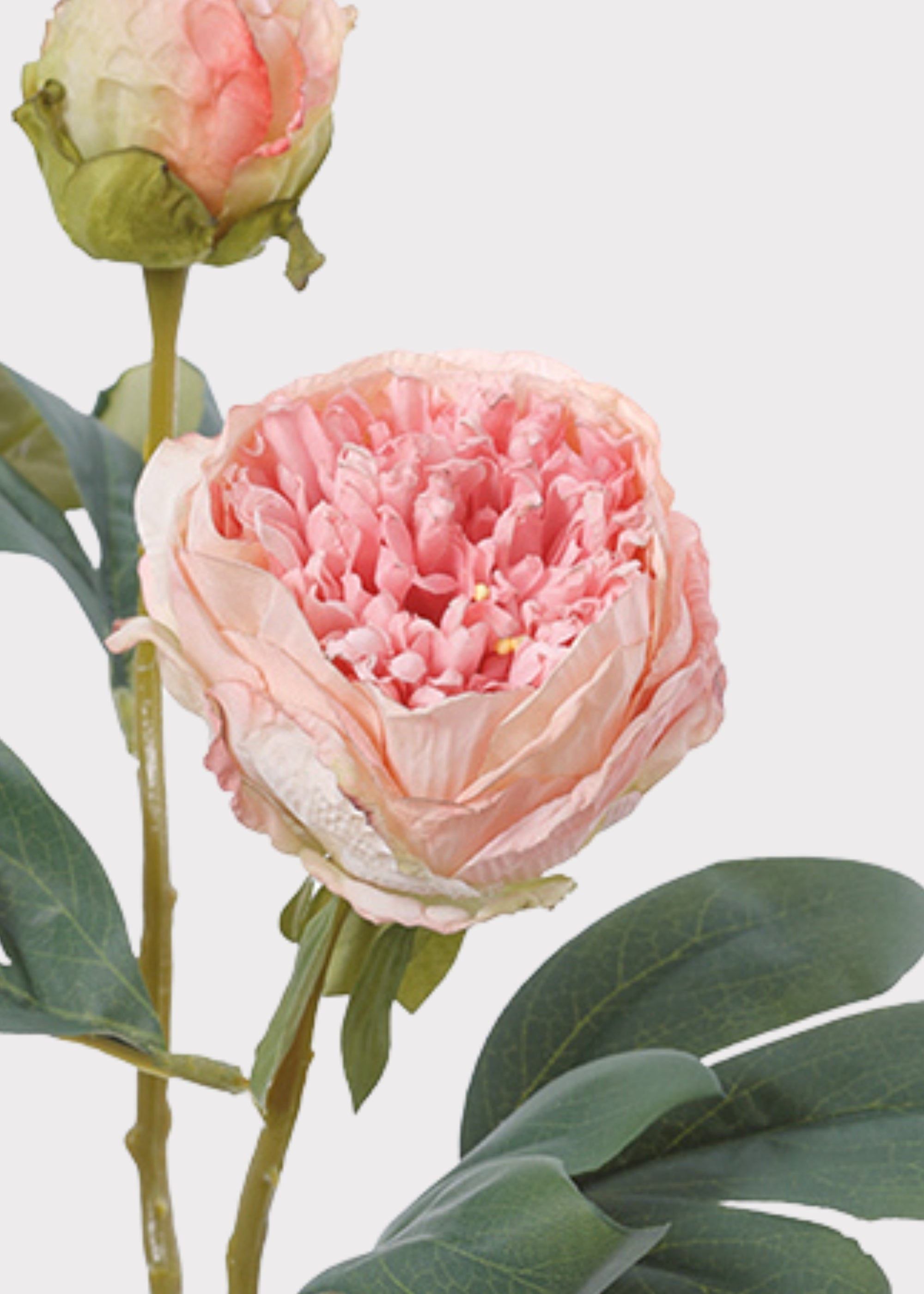 Pink Artificial Peony Stem for Home Decor