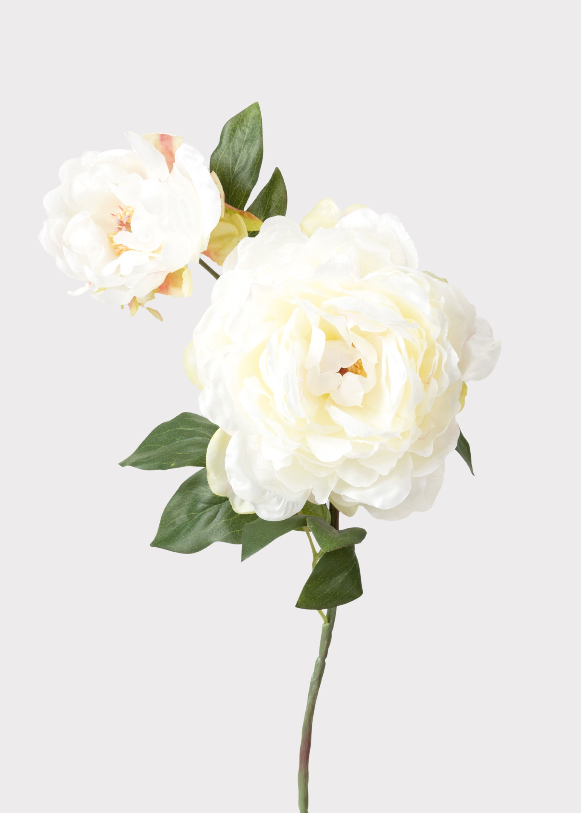 Cream Artificial Peony Stem for Vase Styling