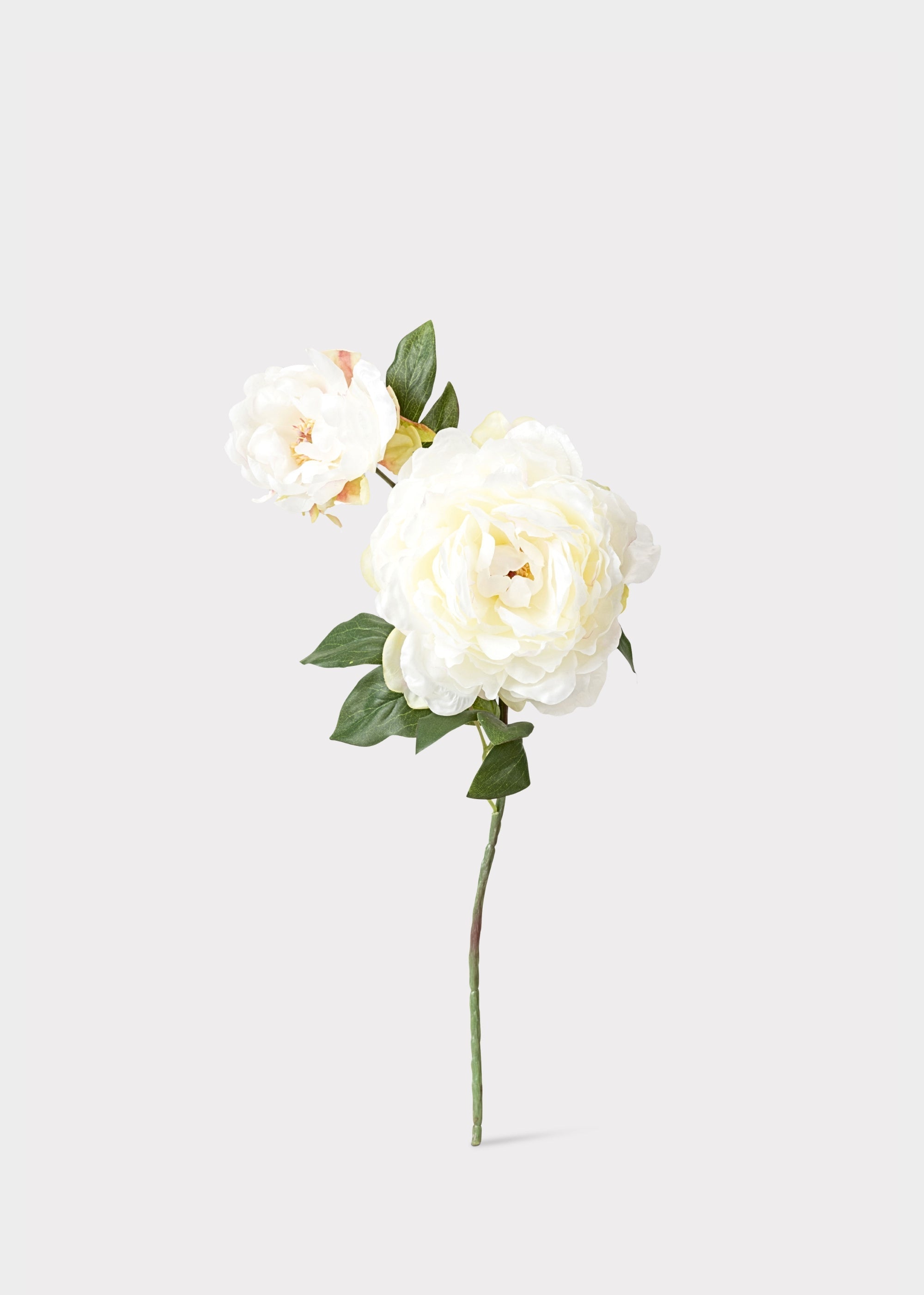 Cream Artificial Peony Stem for Home Decor