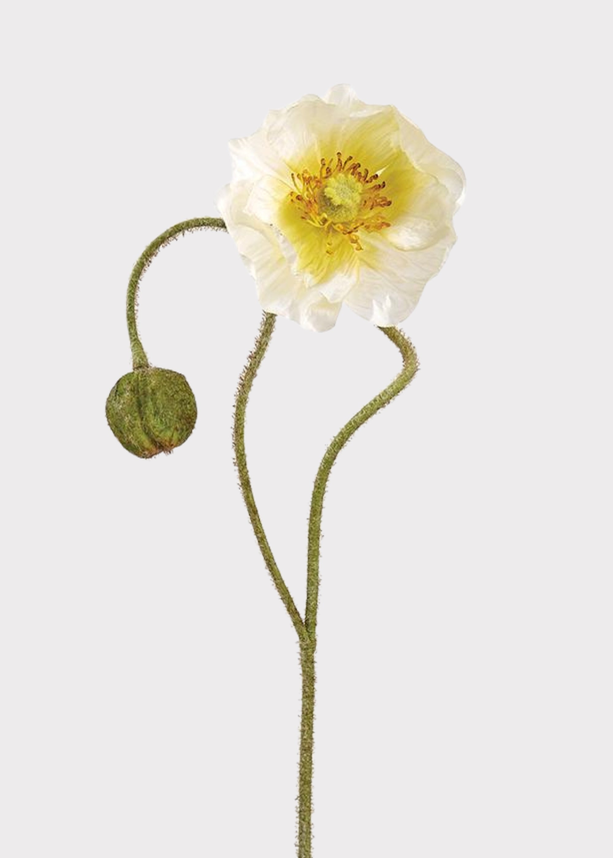 Cream Artificial Poppy Stem for Vase Styling