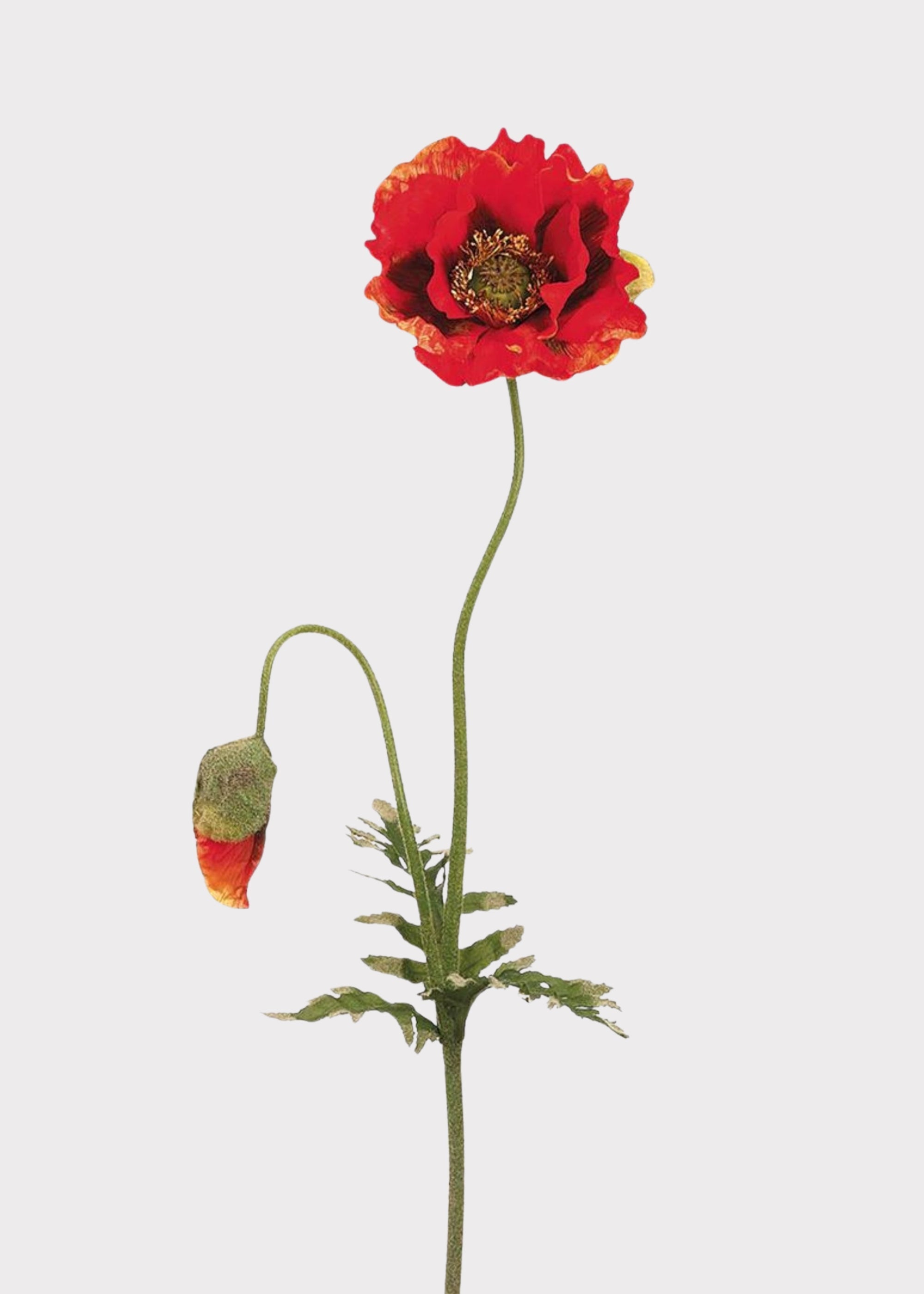 Orange Artificial Poppy Stem for Vase Styling