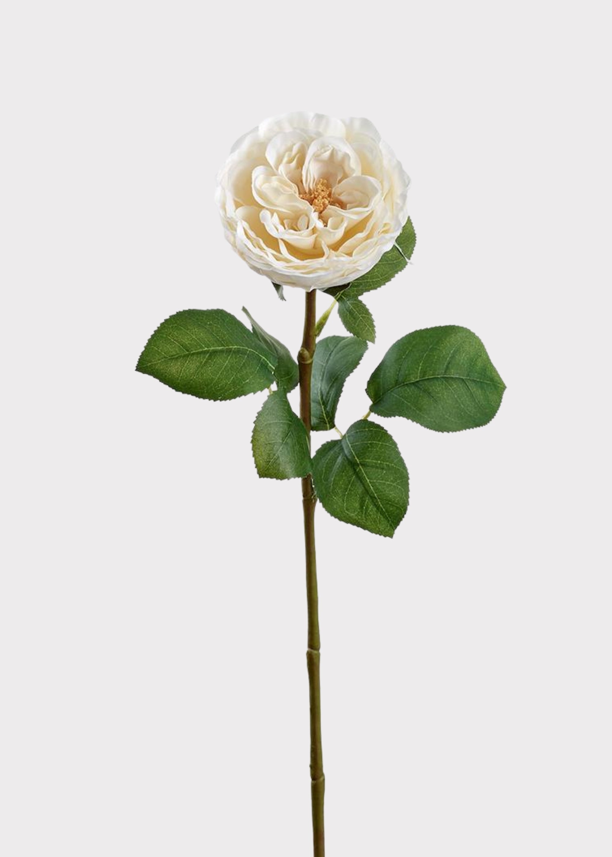 Cream Artificial Rose Stem for Vase Styling
