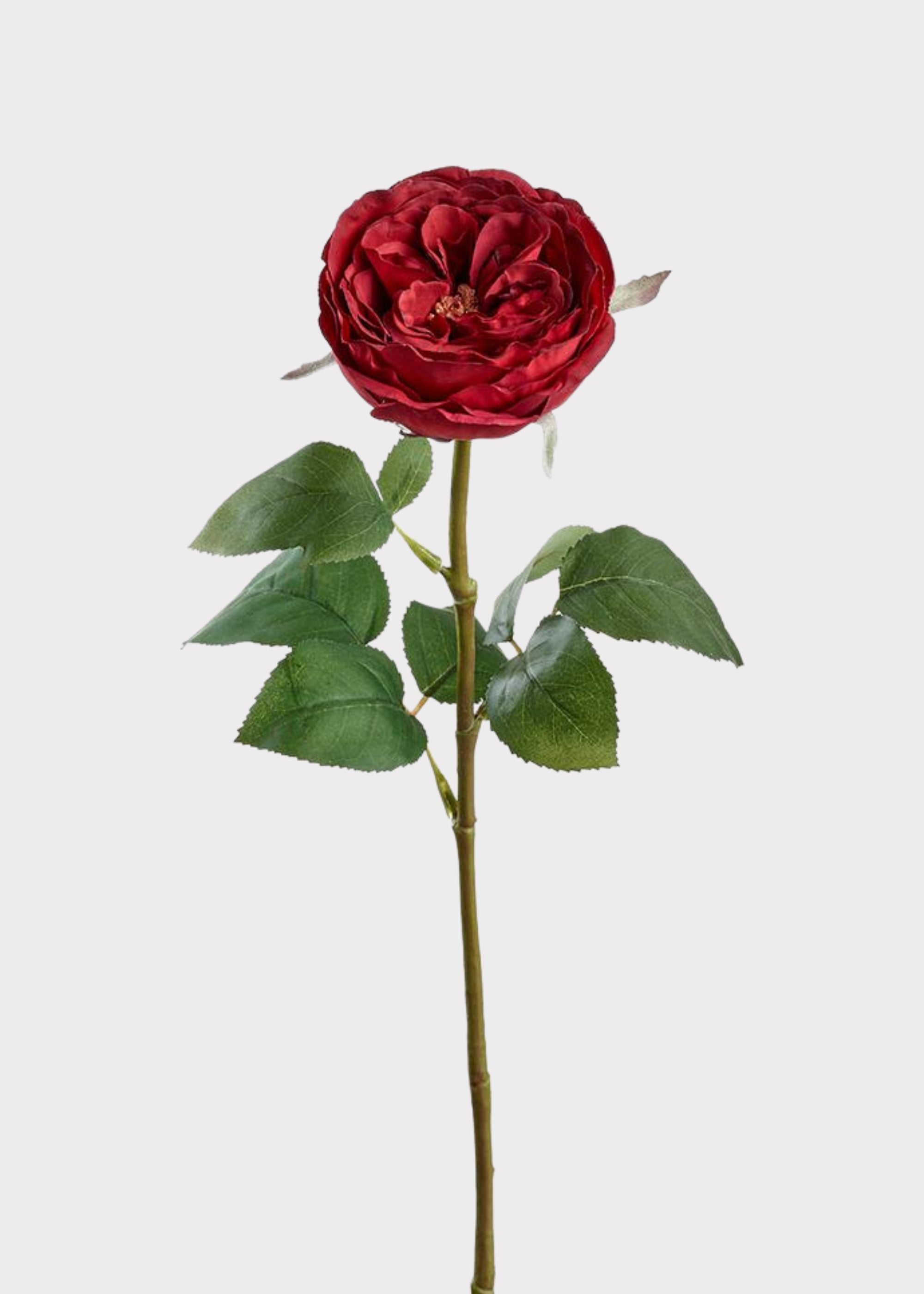 Red Artificial Rose Stem for Vase Styling