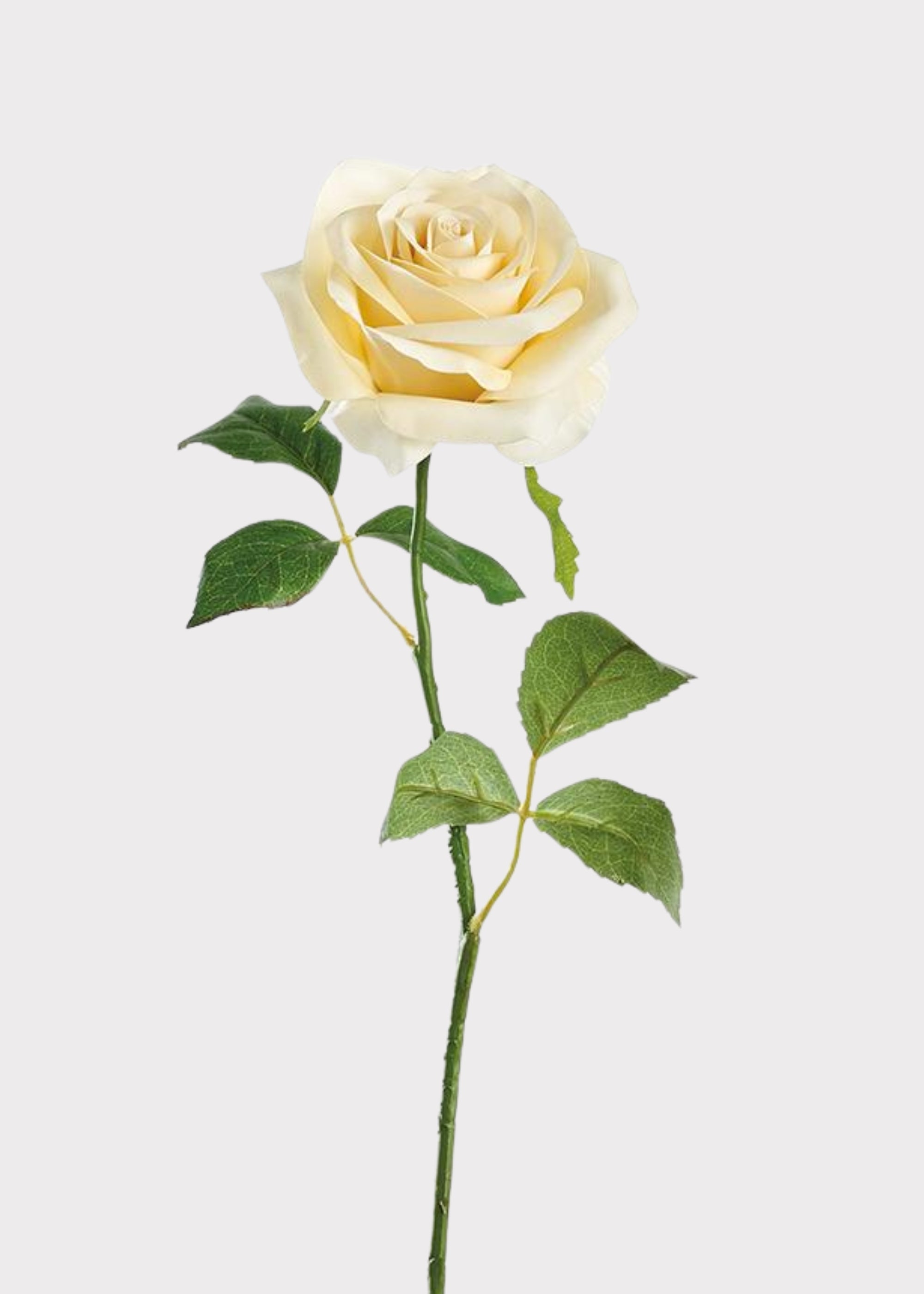 Yellow Real Touch Artificial Rose Stem for Vase Styling