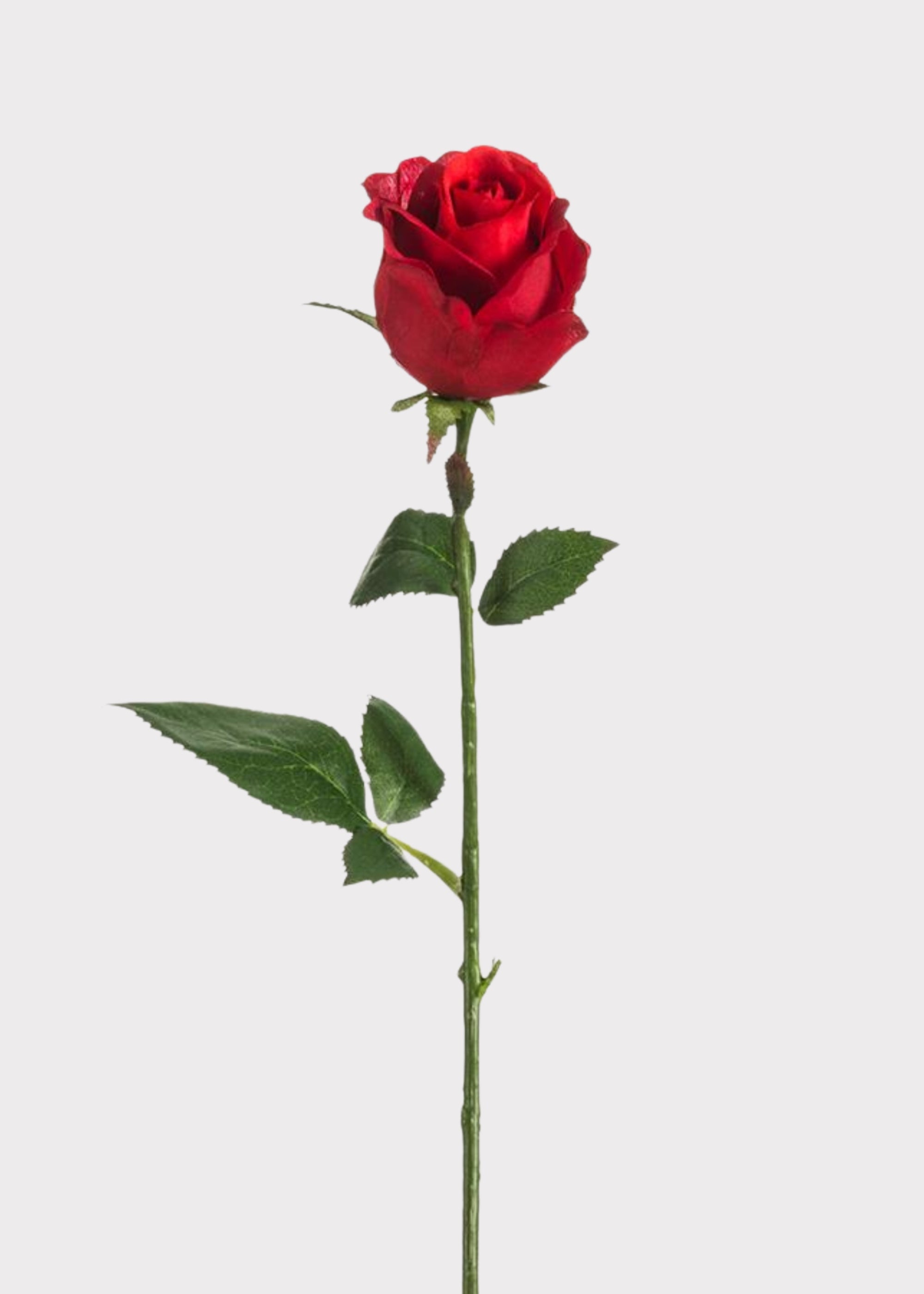 Red Artificial Rose Stem for Vase Styling
