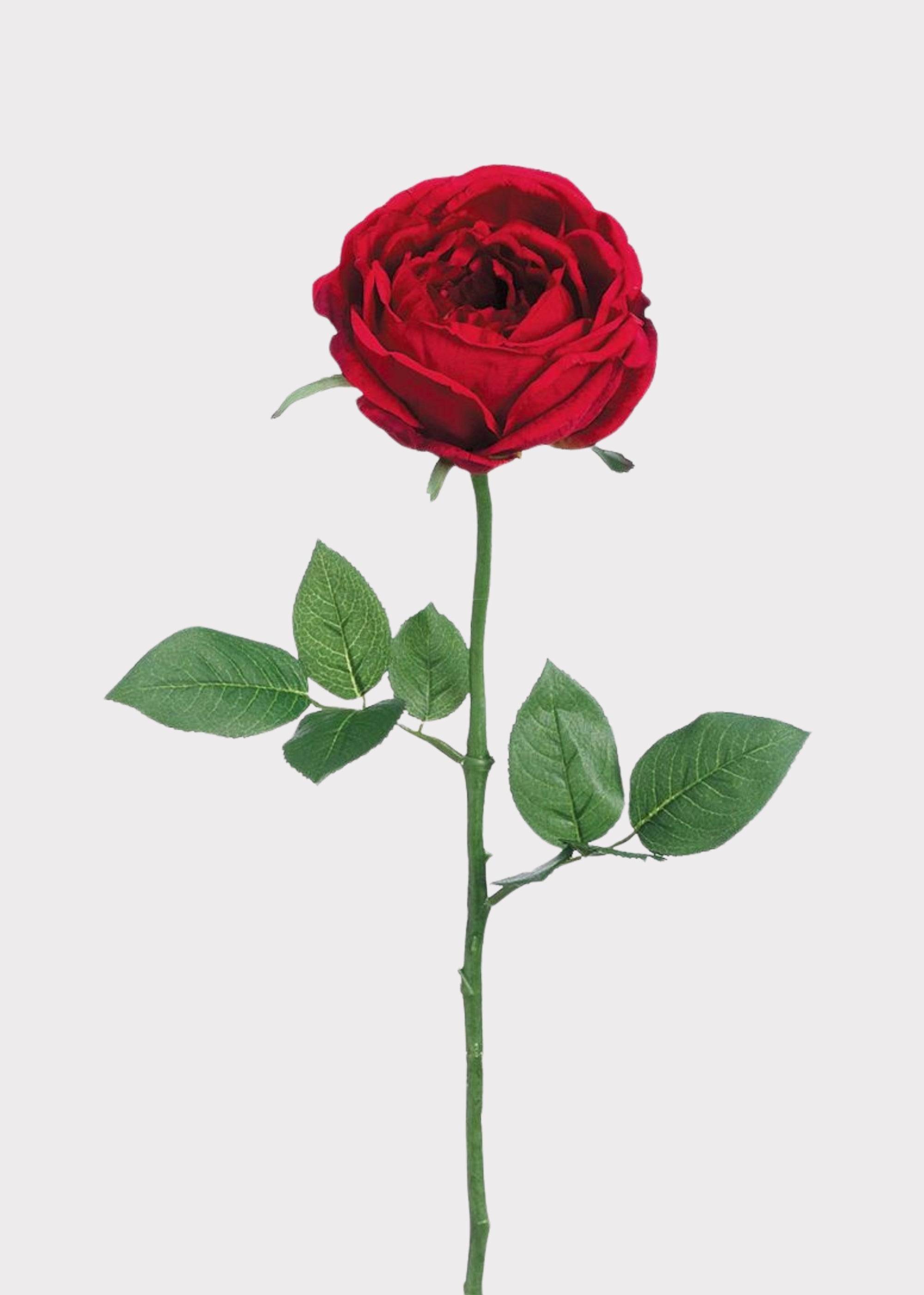 Red Artificial Rose Stem for Vase Styling