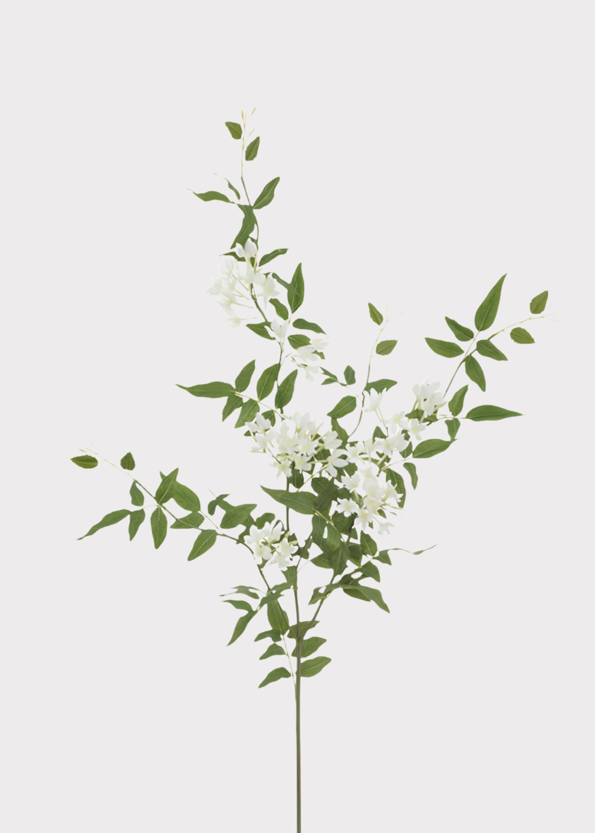 White Artificial Tropical Stephanotis Blooming Branch for Vase Styling