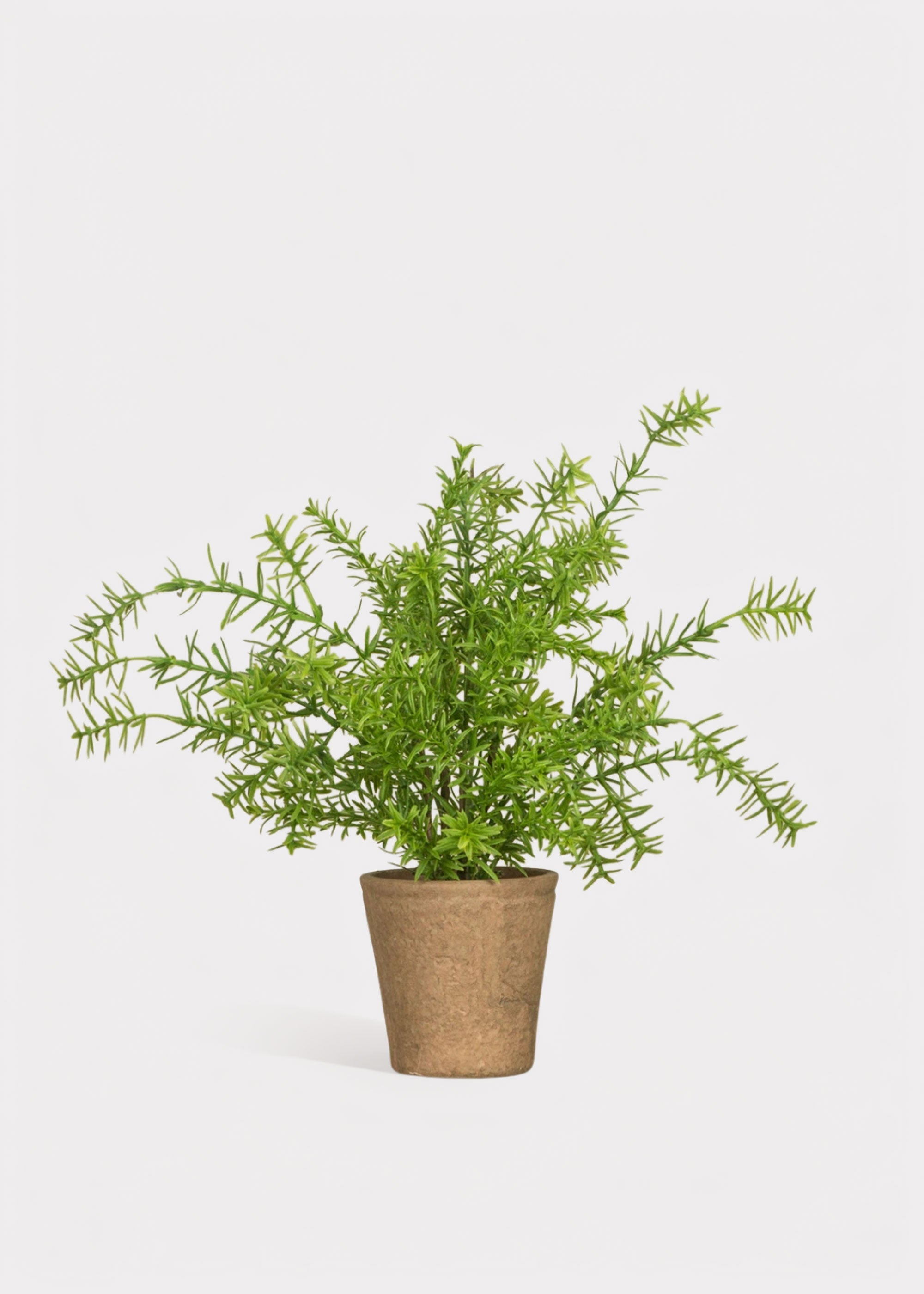 Artificial Rose Potted Plant for Vase Styling