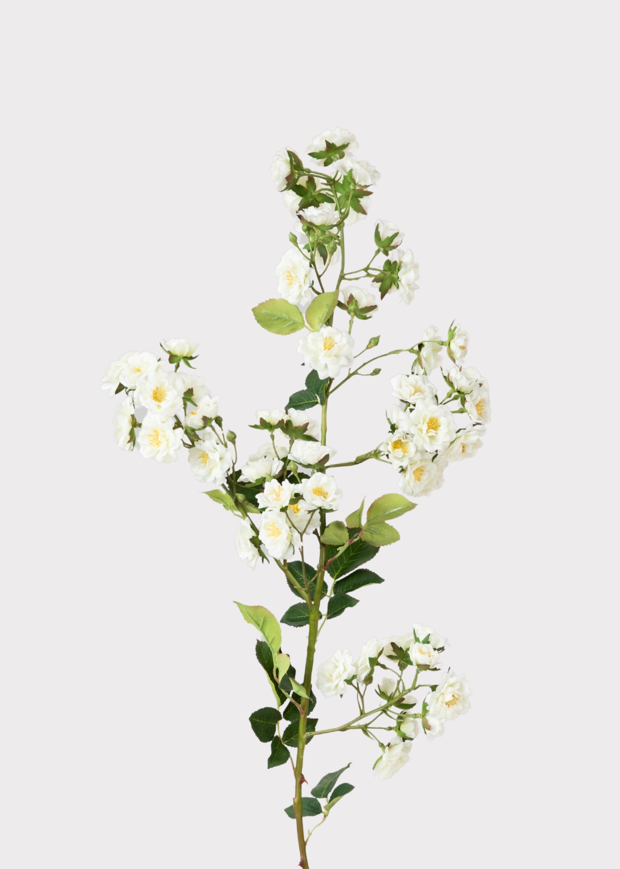 Cream Artificial Rose Branch for Vase Styling