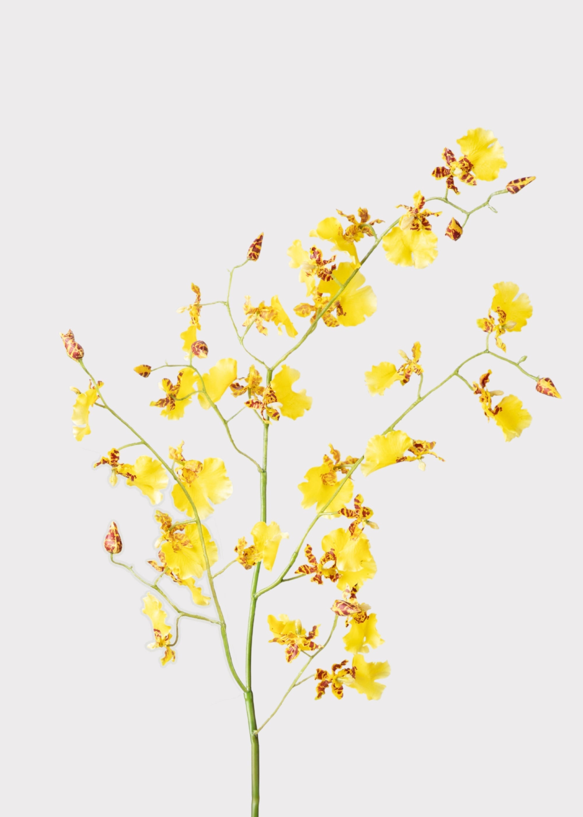 Yellow Artificial Orchid Stem for Vase Styling