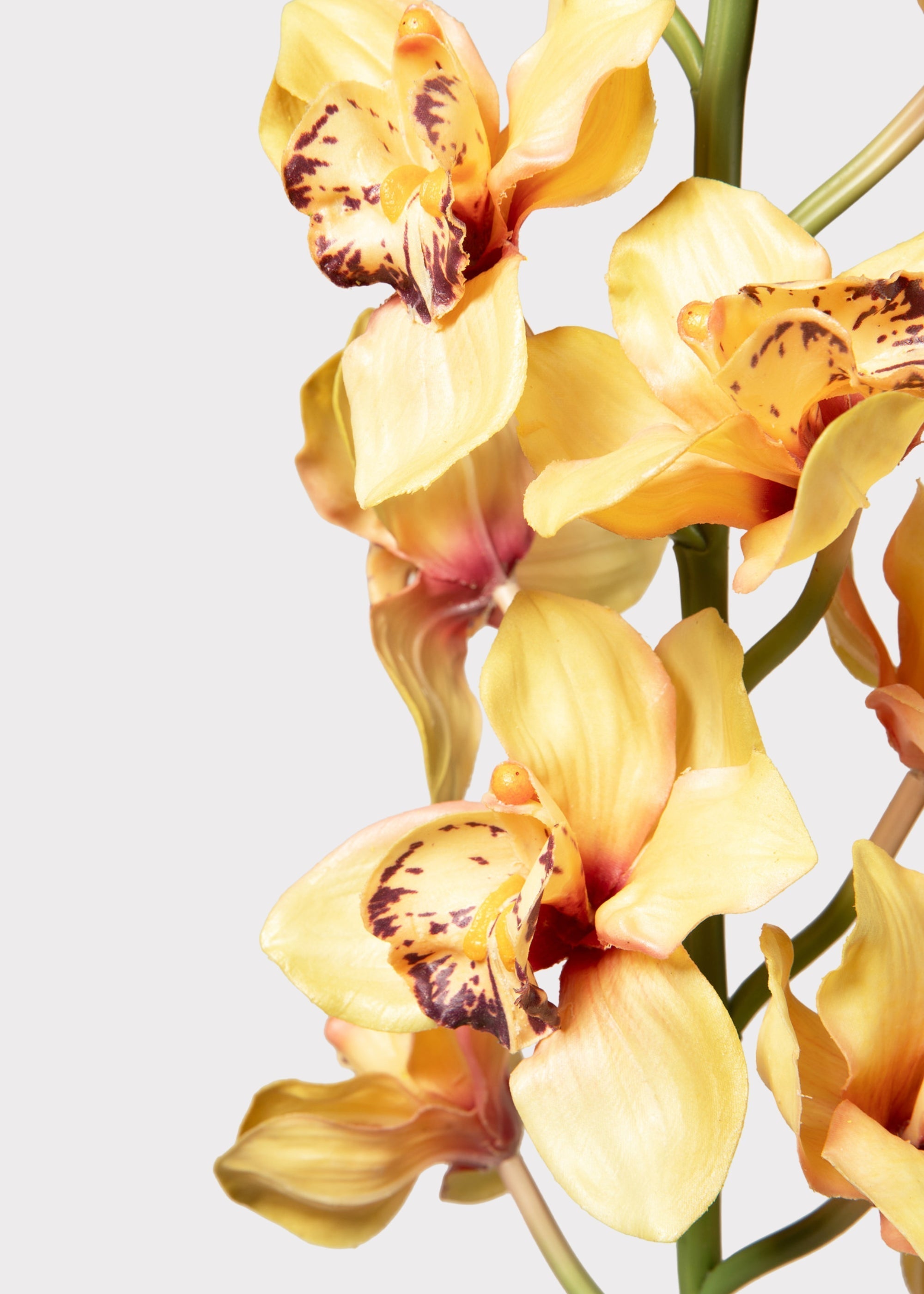 Yellow Artificial Orchid Stem for Home Decor