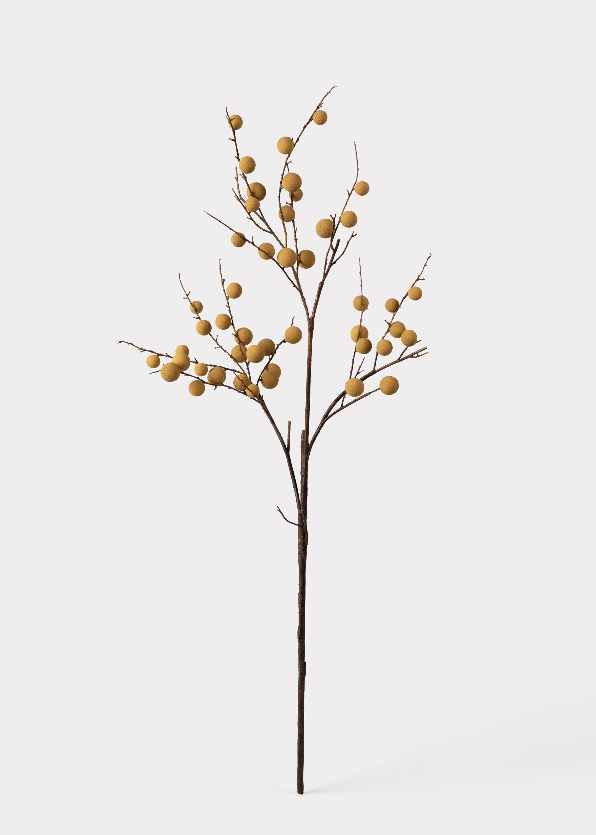 Artificial Longan Branch for Entryway Arrangement