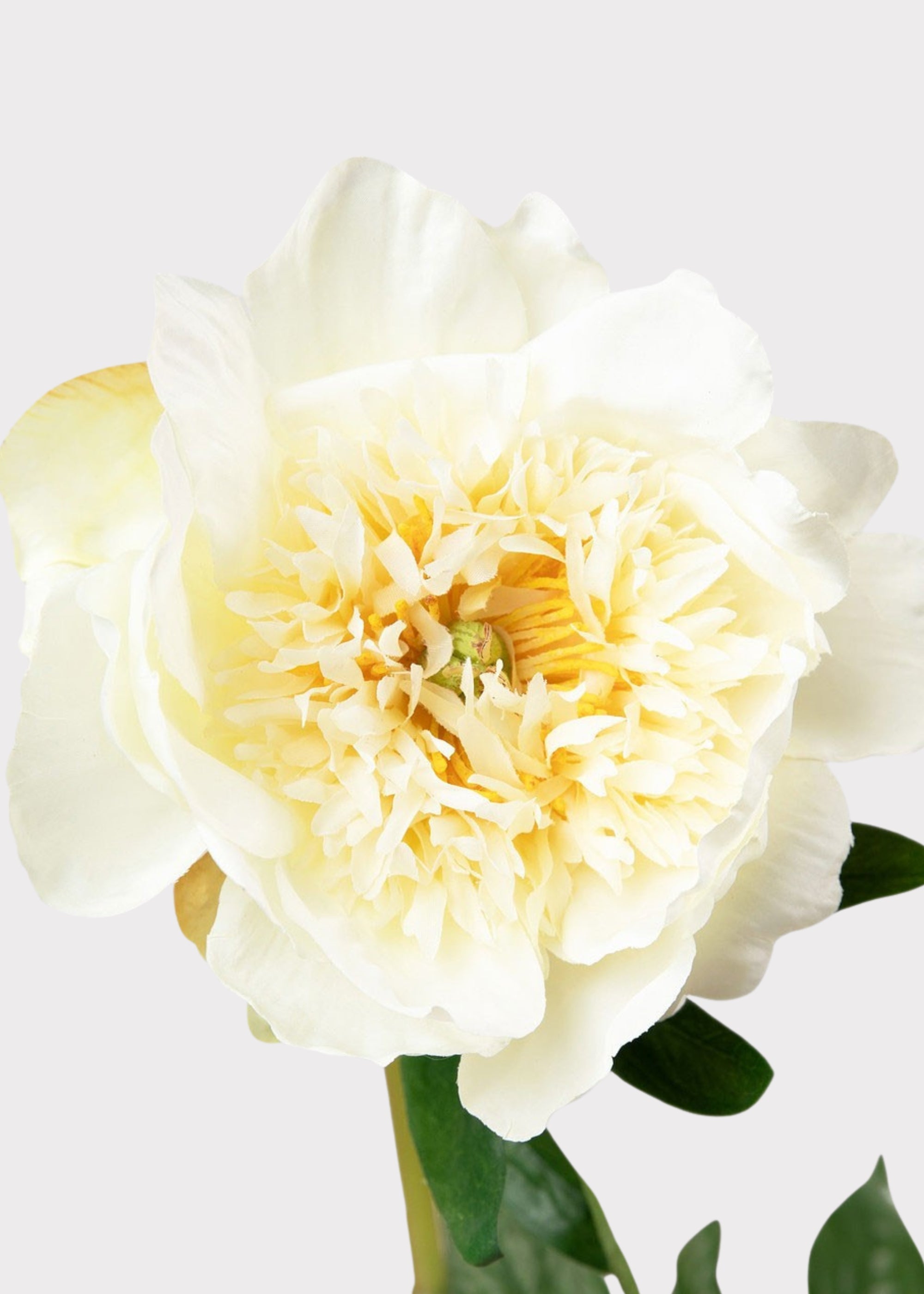 Yellow Artificial Peony Bundle for Home Decor