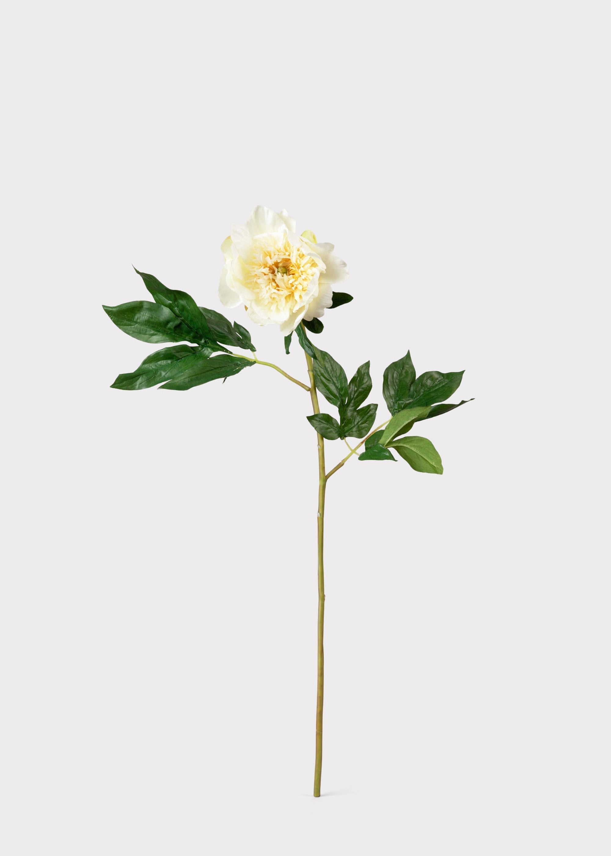 Yellow Artificial Peony Bundle for Entryway Arrangement