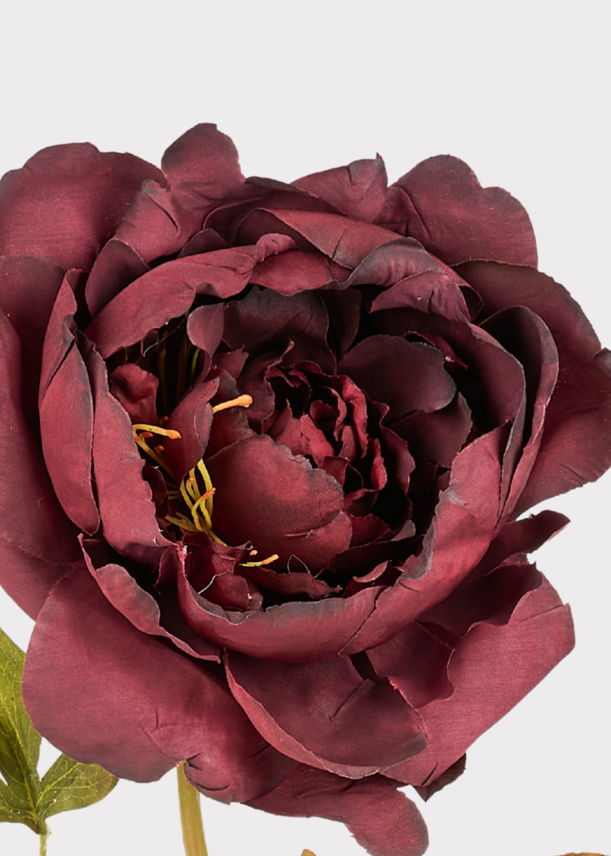 Purple Artificial Peony Stem for Home Decor