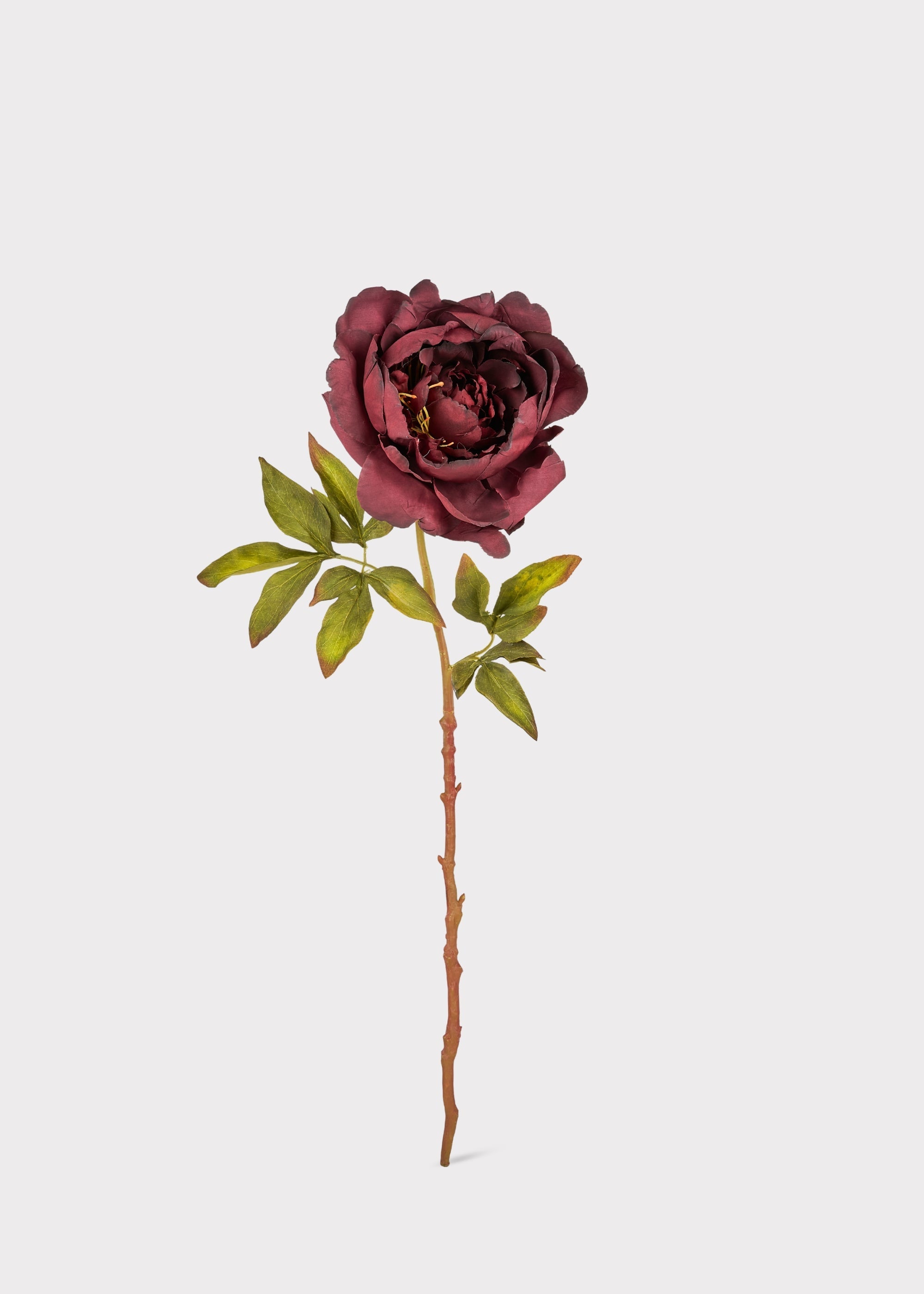 Purple Artificial Peony Stem for Table Centerpiece