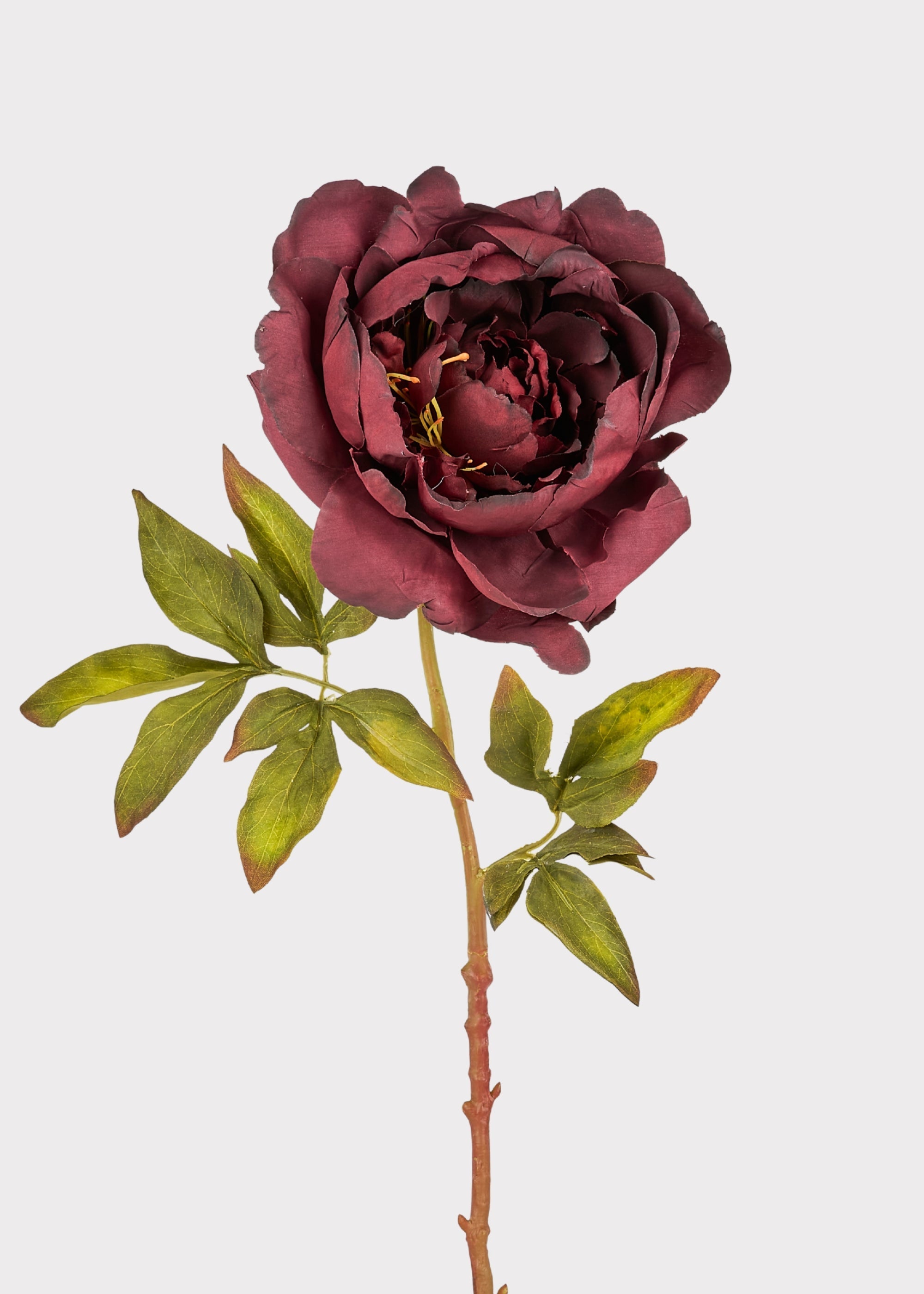 Purple Artificial Peony Stem for Vase Styling