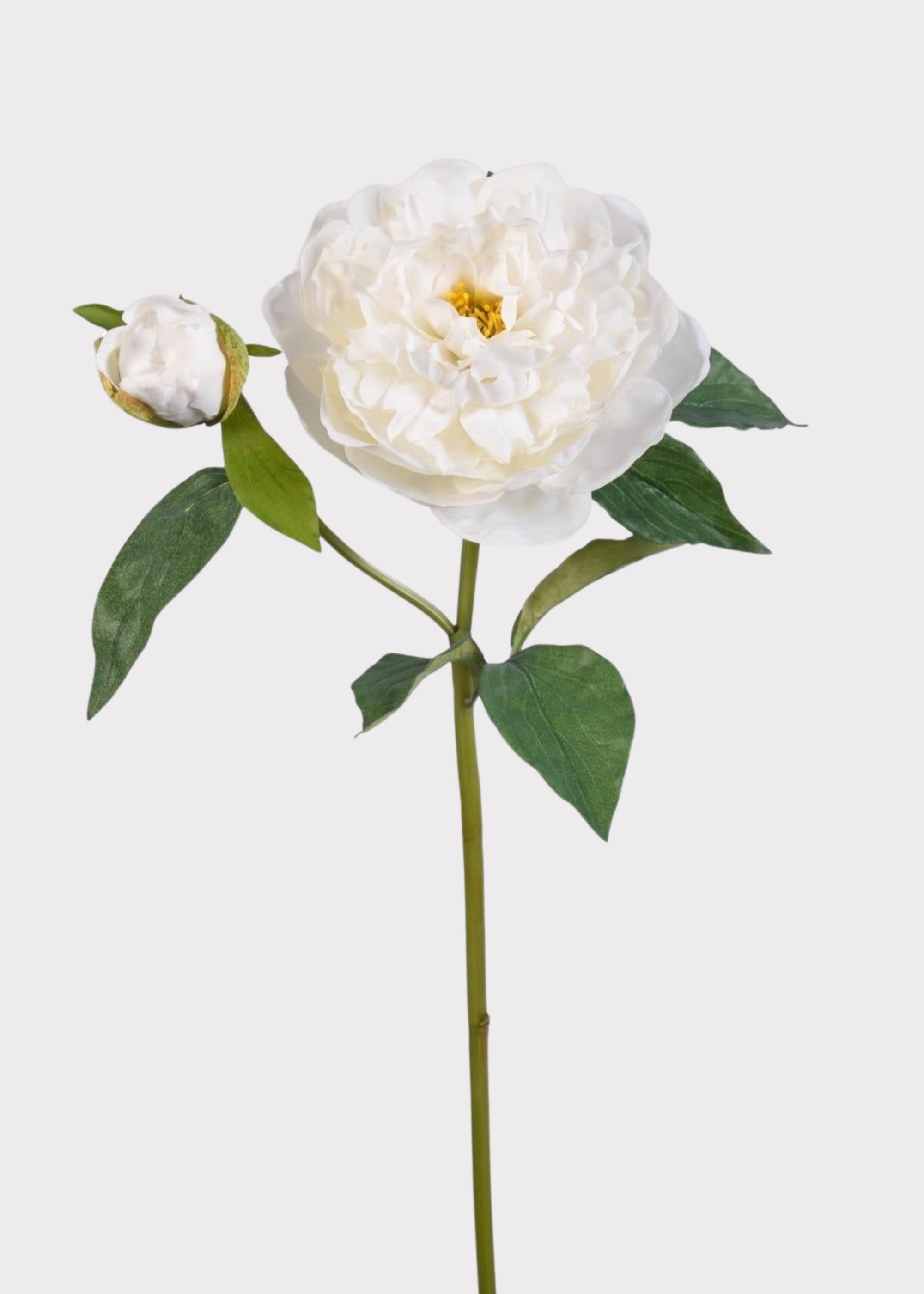 White Natural Touch Artificial Peony Stem for Vase Styling