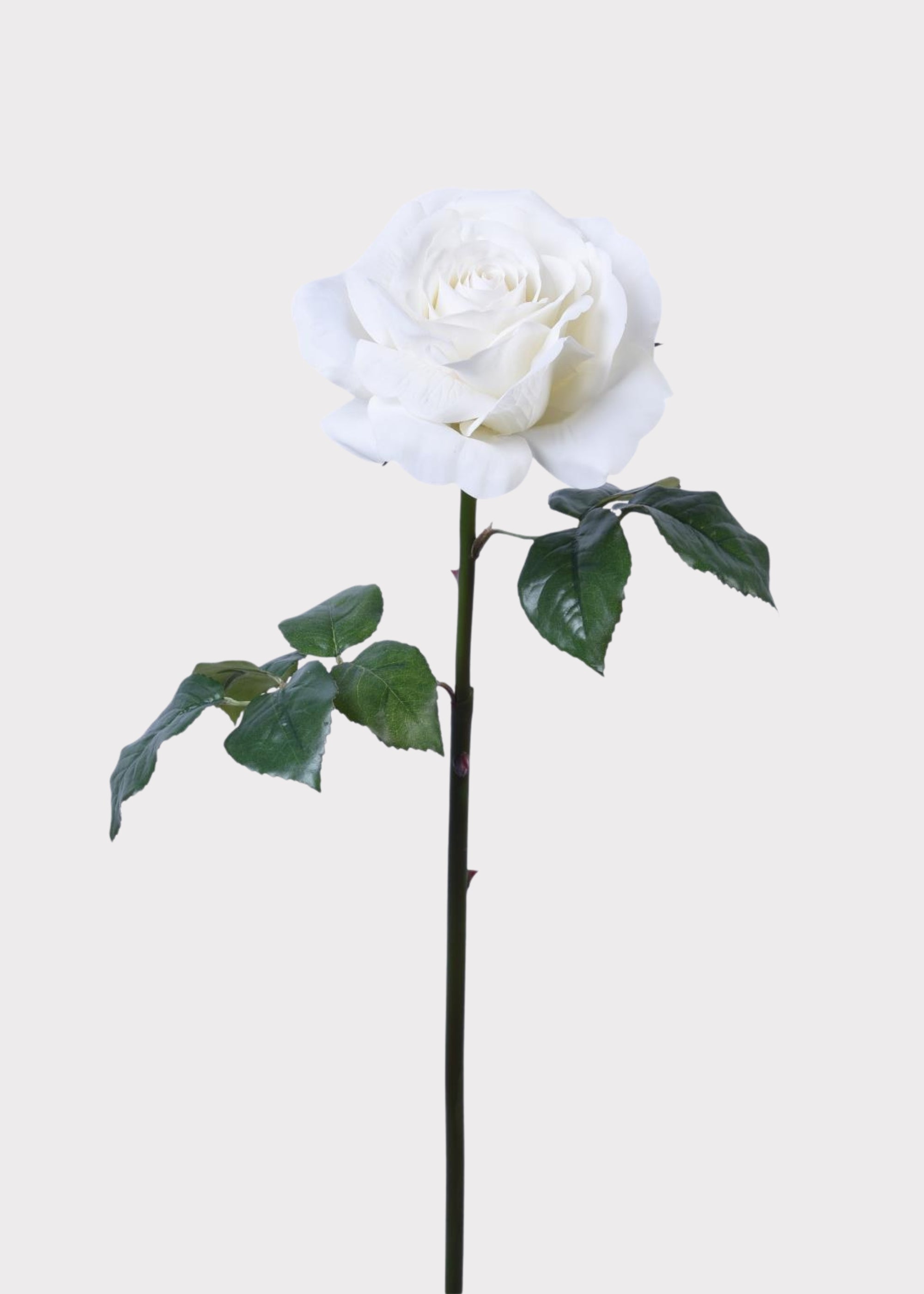 White Natural Touch Artificial Rose Stem for Vase Styling