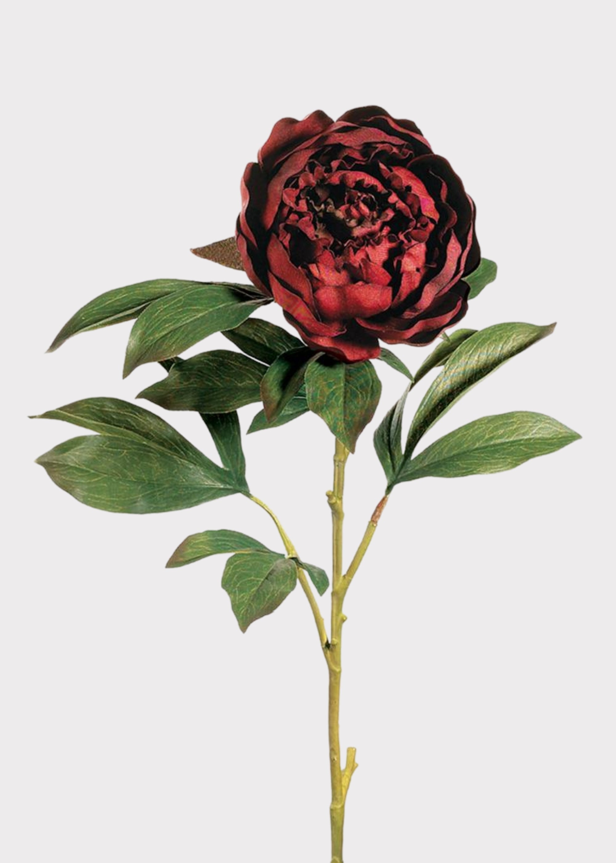 Burgundy Artificial Peony Stem for Vase Styling