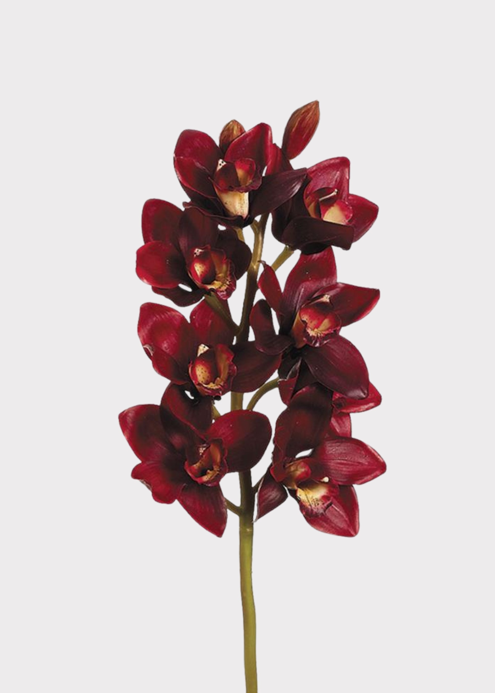 Red Artificial Orchid Stem for Vase Styling