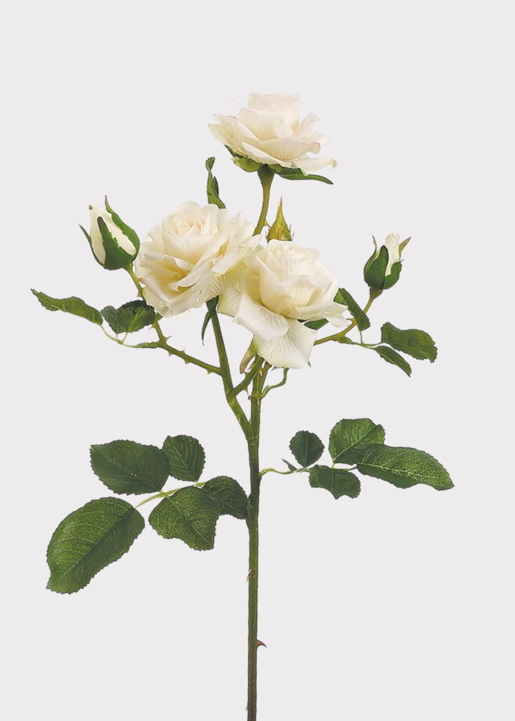 Cream Artificial Rose Stem for Vase Styling