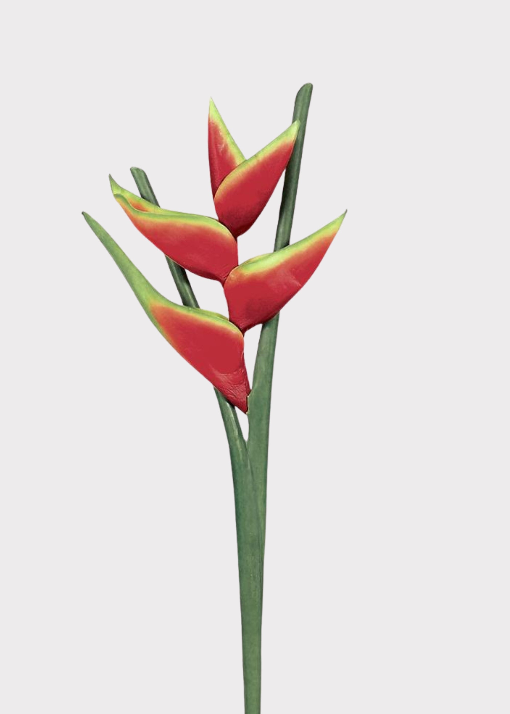 Red Artificial Hawaiian Heliconia Tropical for Vase Styling