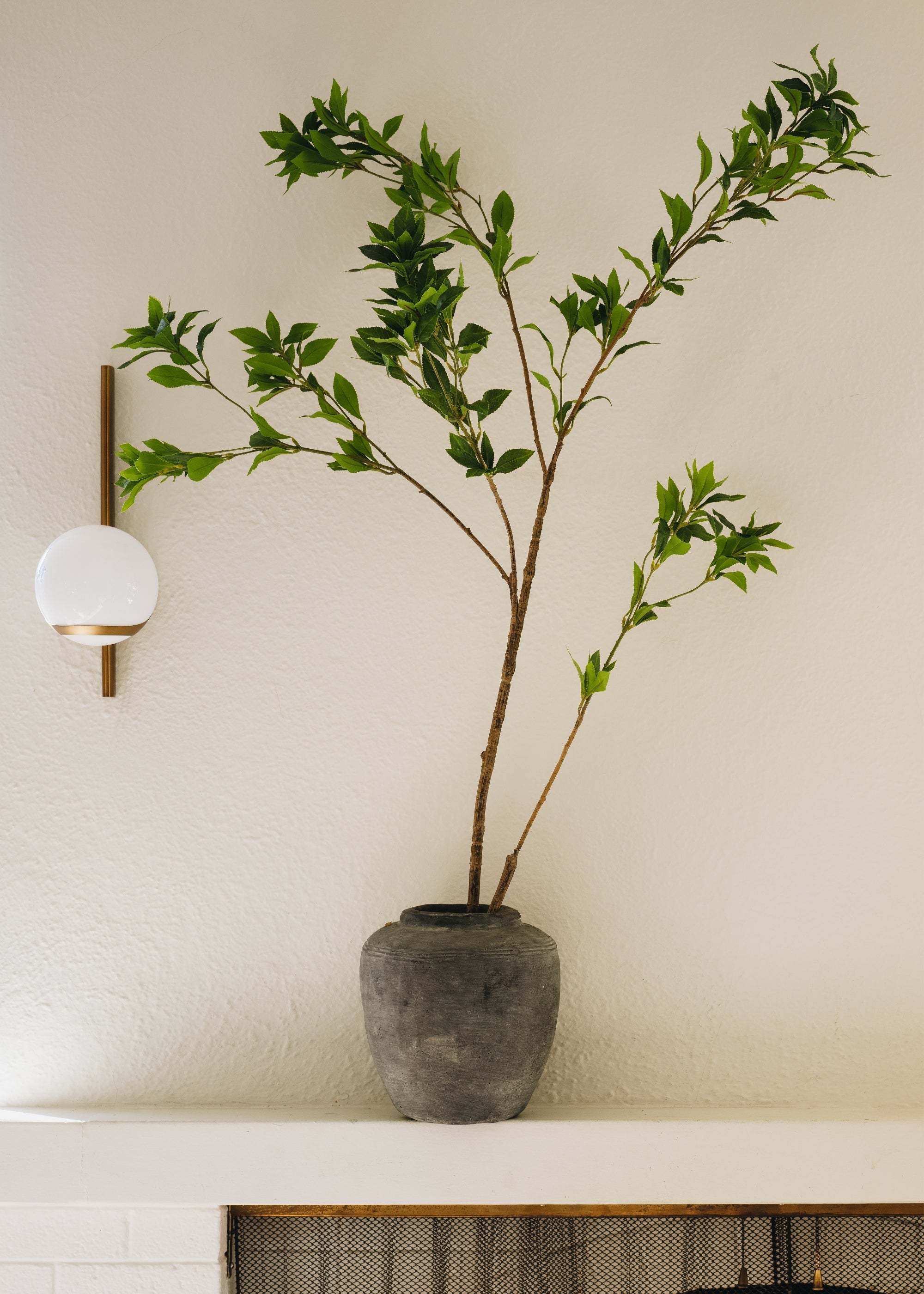 Distressed Rustic Concrete Vase for Entryway Arrangement