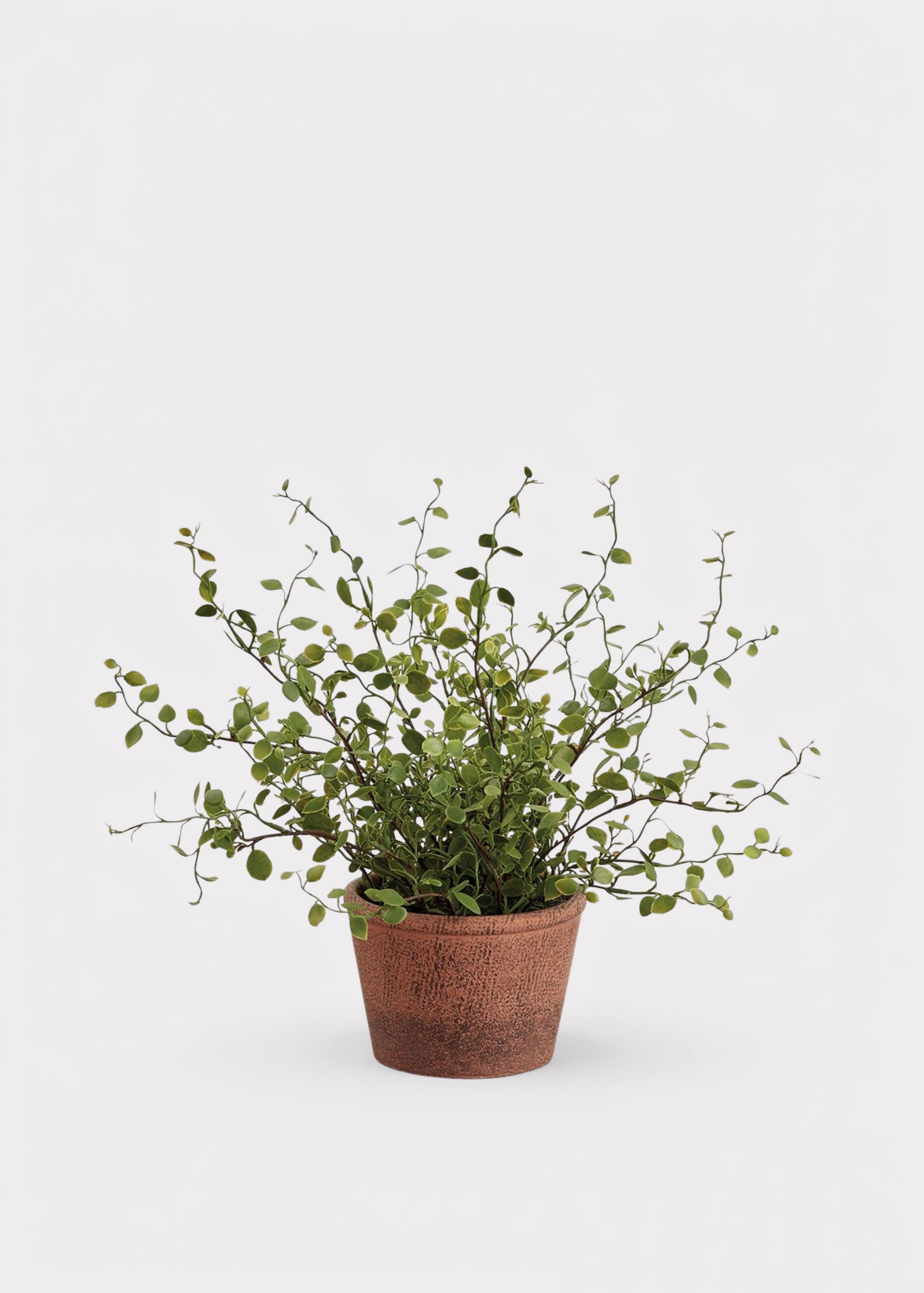 Green Artificial Small Maidenhair Creeping Vine for Vase Styling