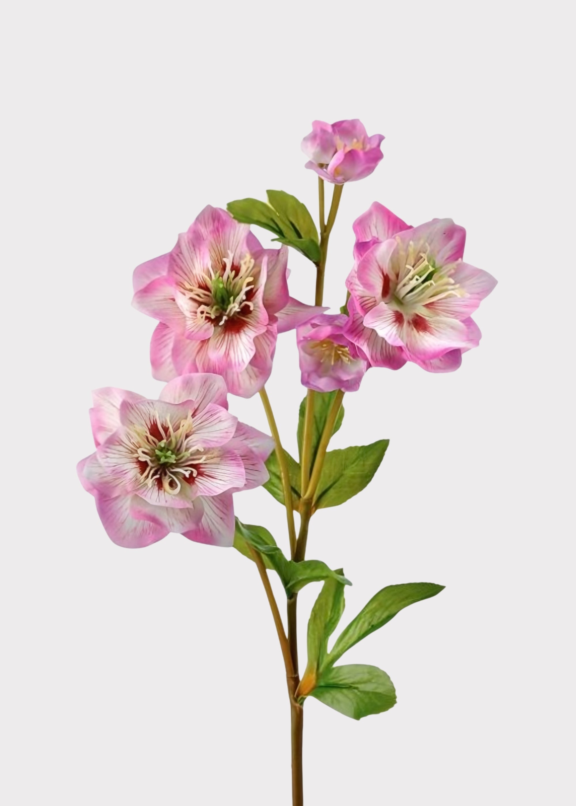 Cream Real Touch Artificial Hellebore Spray for Vase Styling