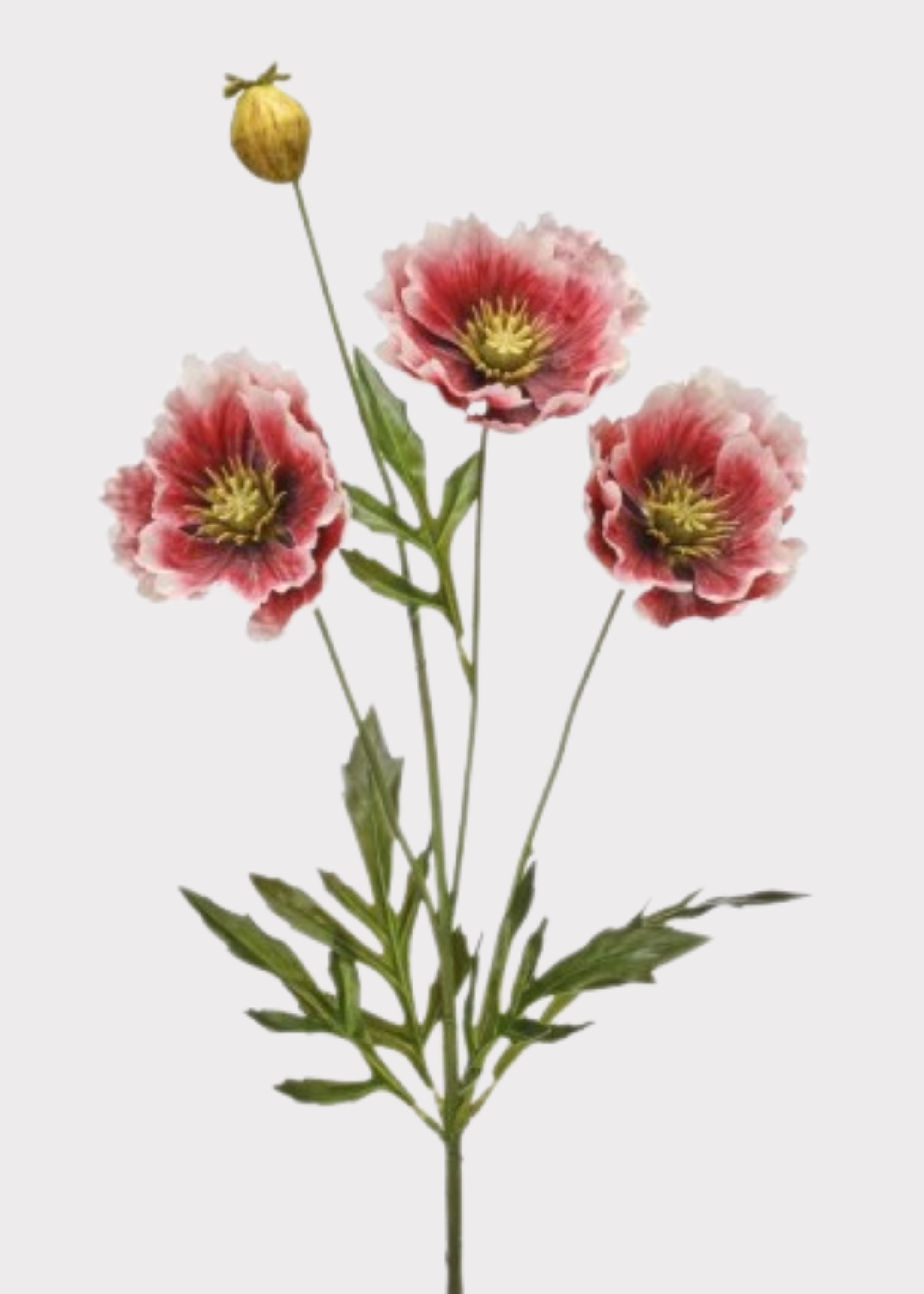 Cream Artificial Poppy Spray for Vase Styling