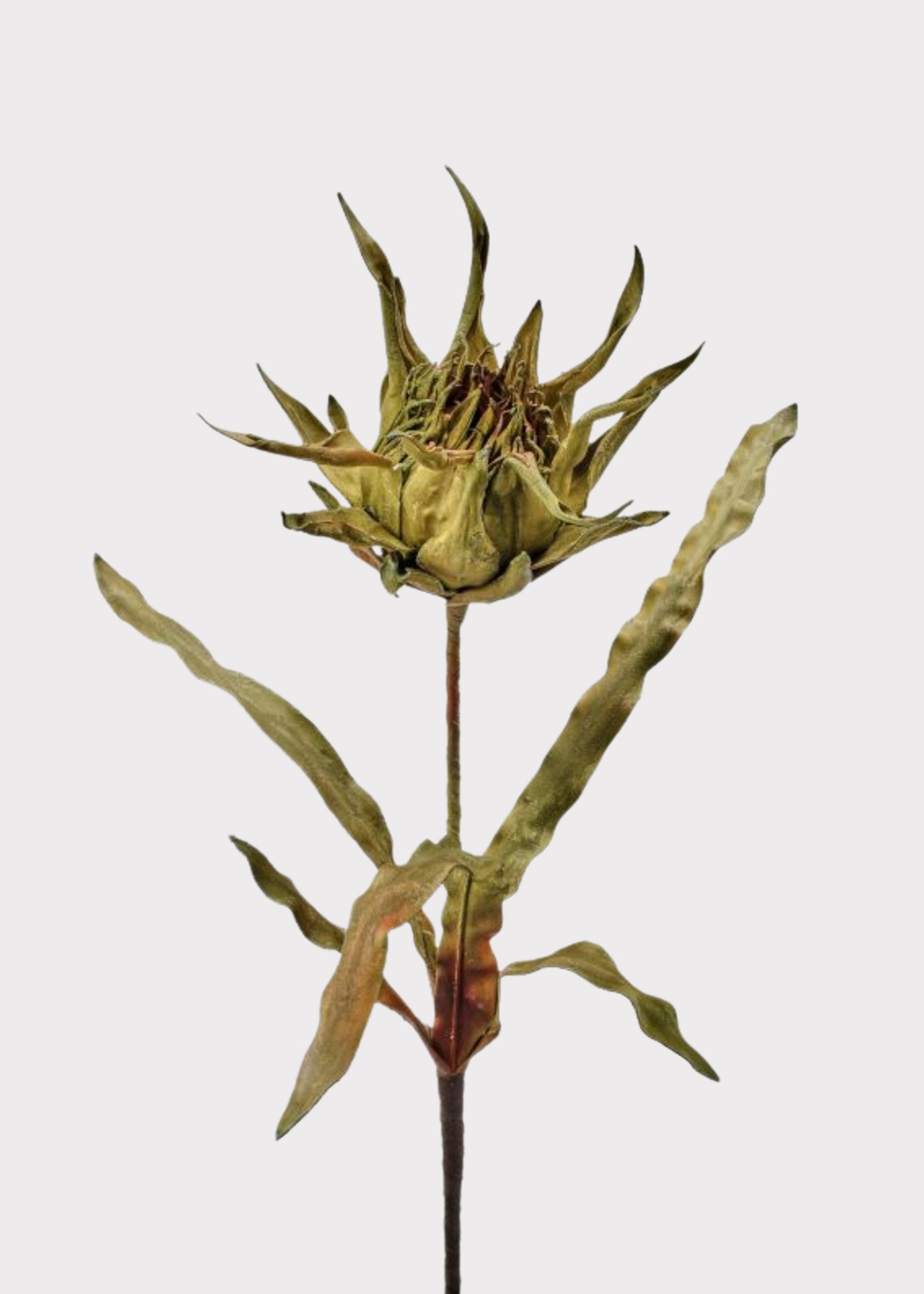 Green Artificial Large Artichoke Protea Tropical for Vase Styling