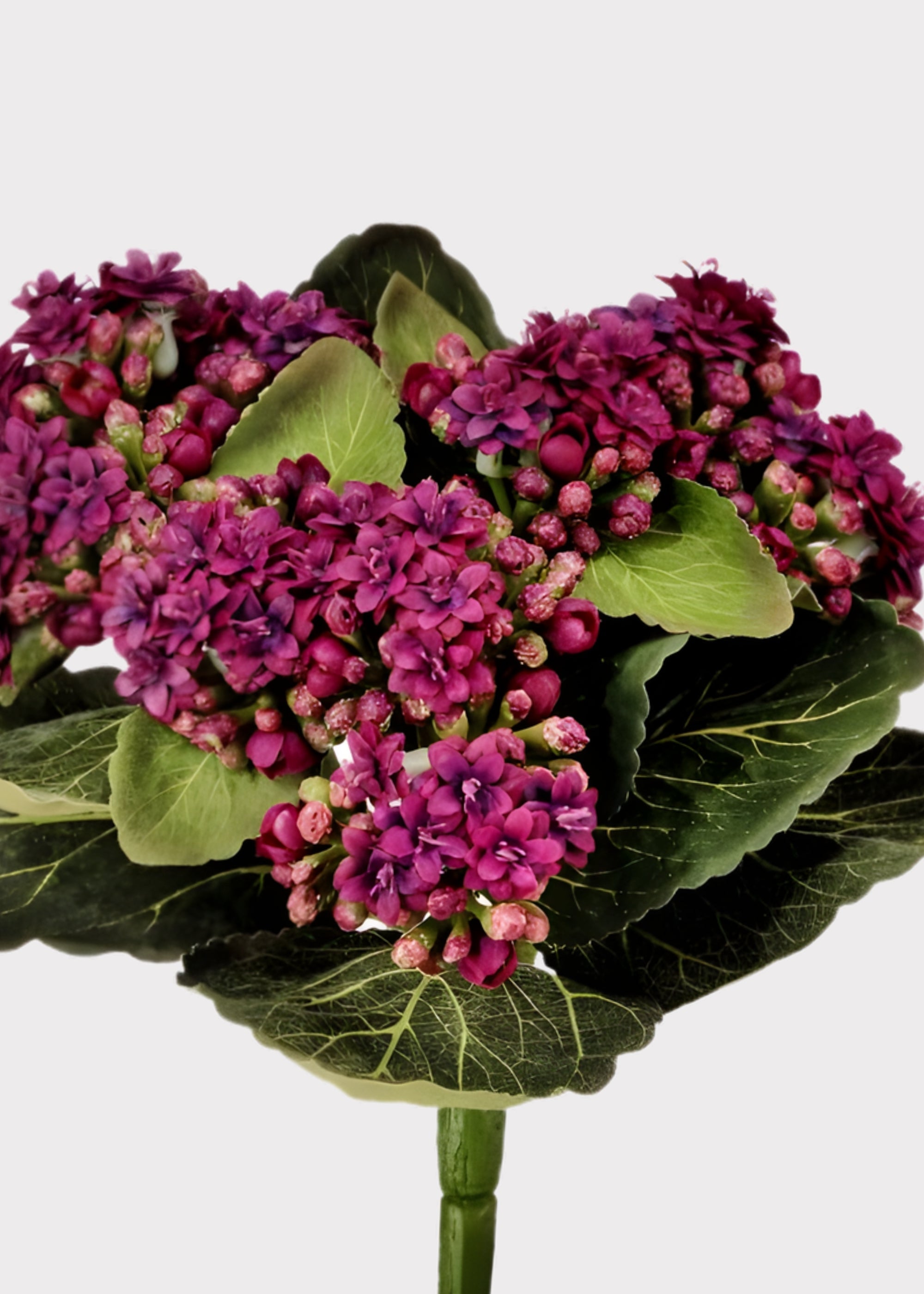 Purple Artificial Small Kalanchoe Blooming for Home Decor