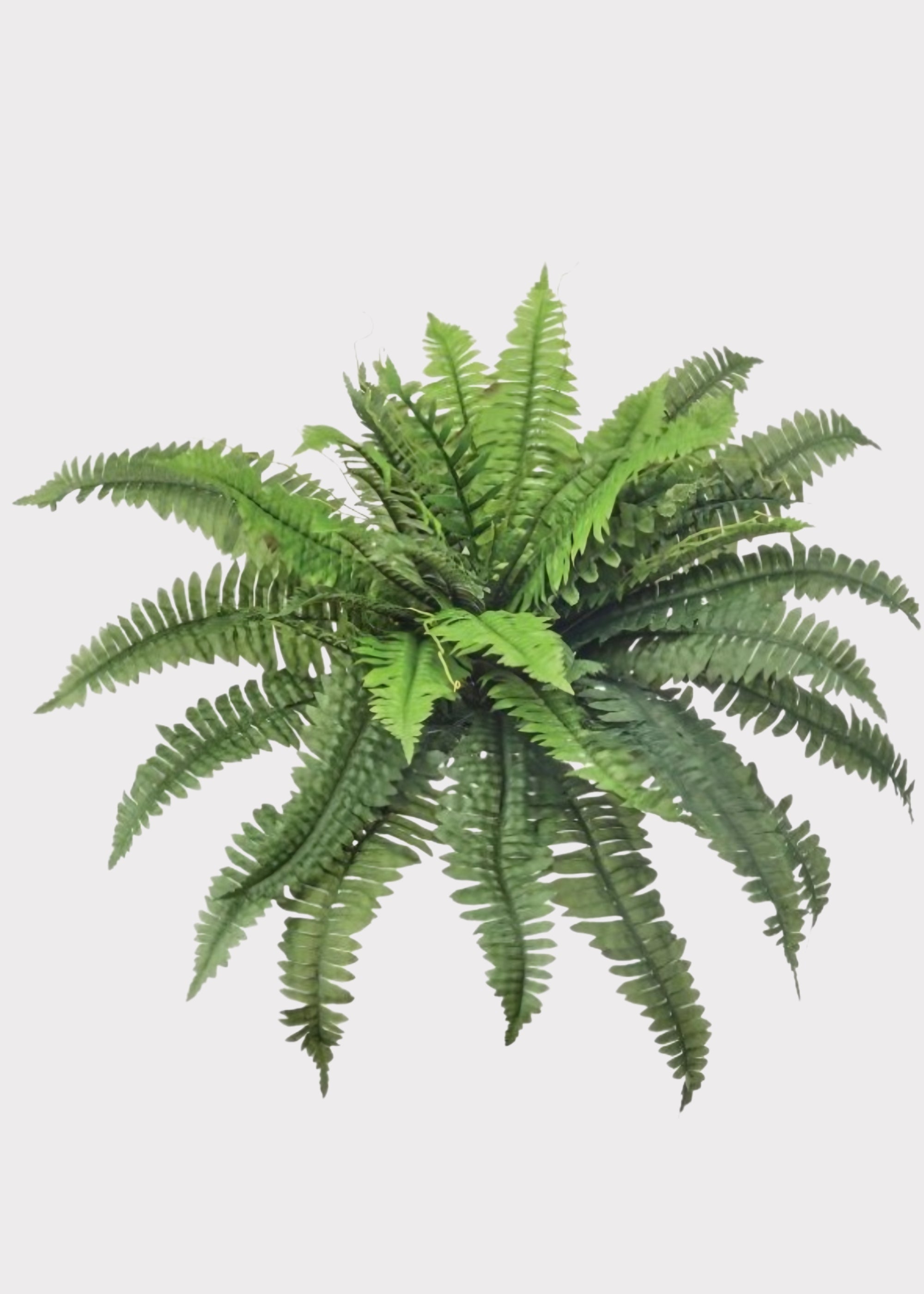 Green Artificial Fern Bush for Vase Styling