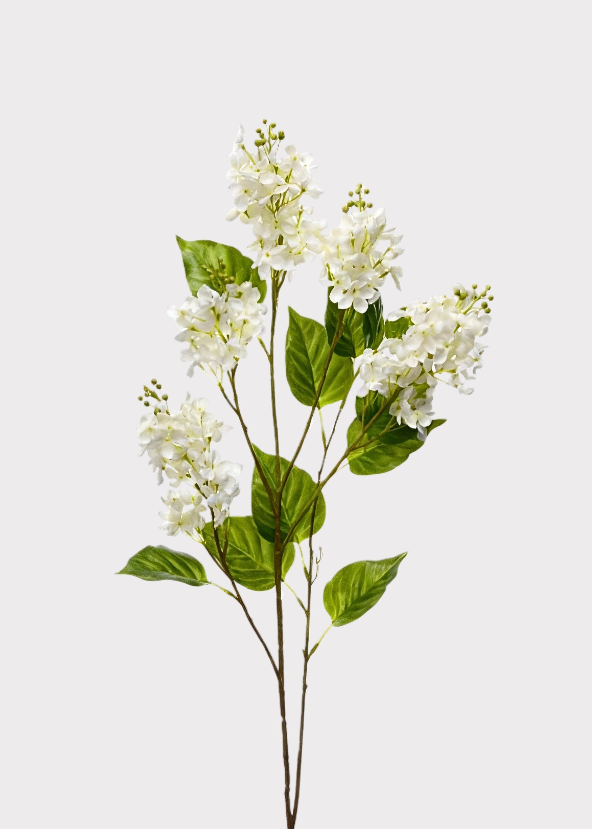 Cream Artificial Lilac Branch for Vase Styling