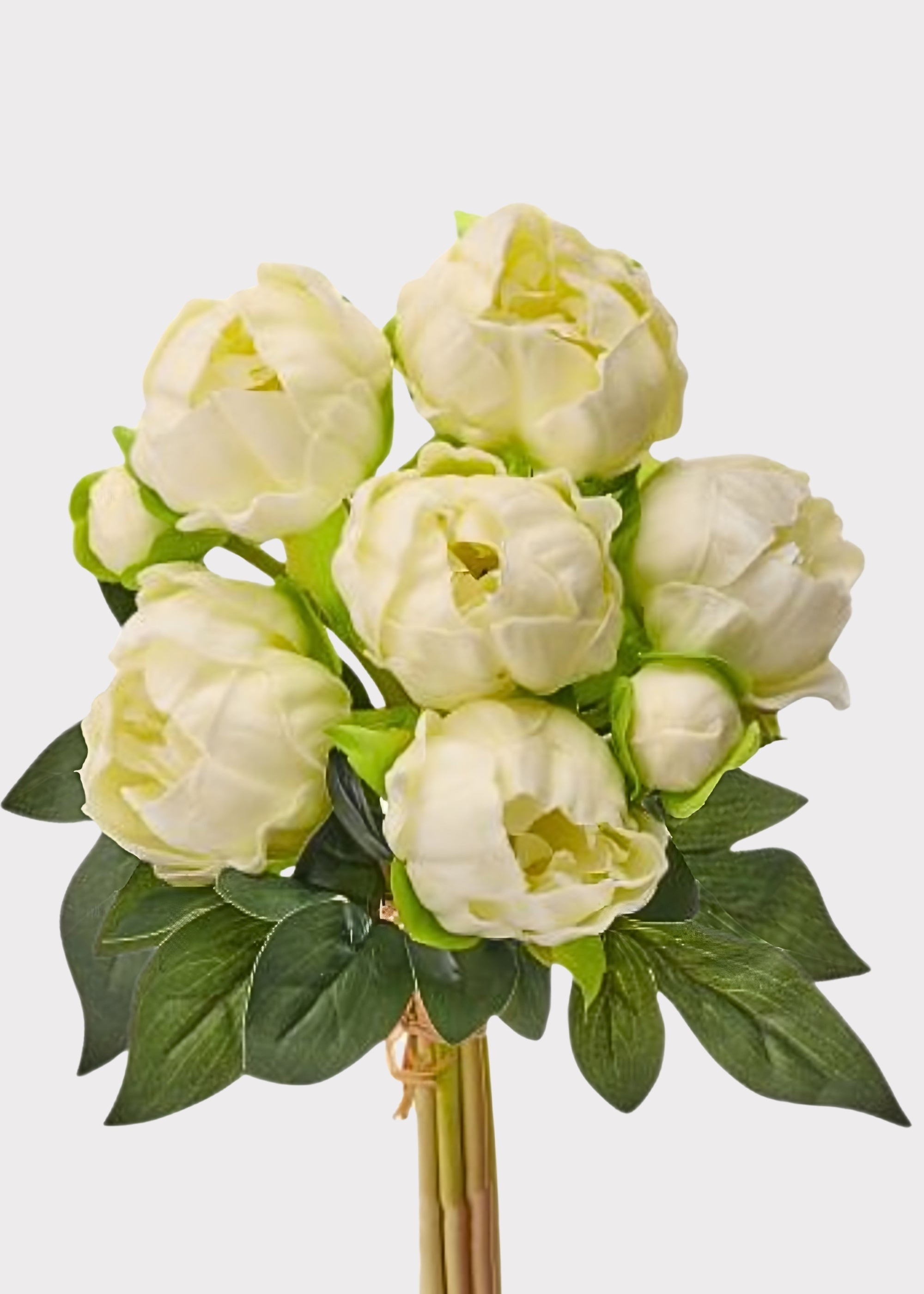 Cream Real Touch Artificial Peony Bundle for Home Decor