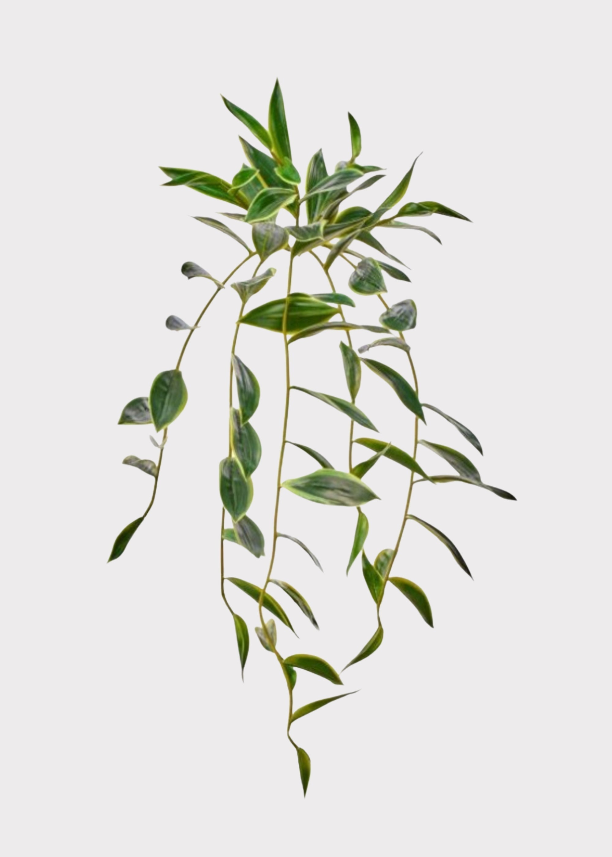 Natural Green Artificial Touch Hanging Bamboo for Vase Styling