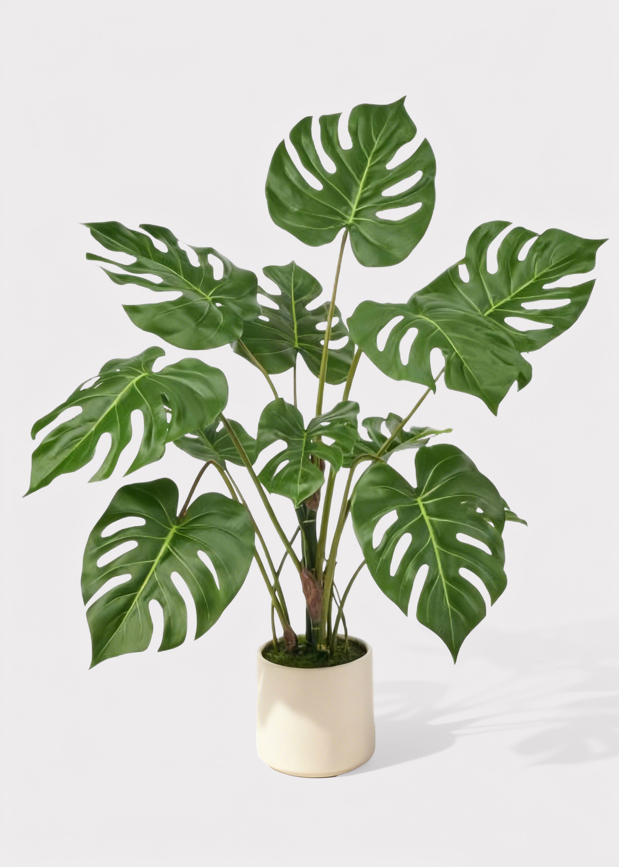 Green Artificial Monstera for Vase Styling