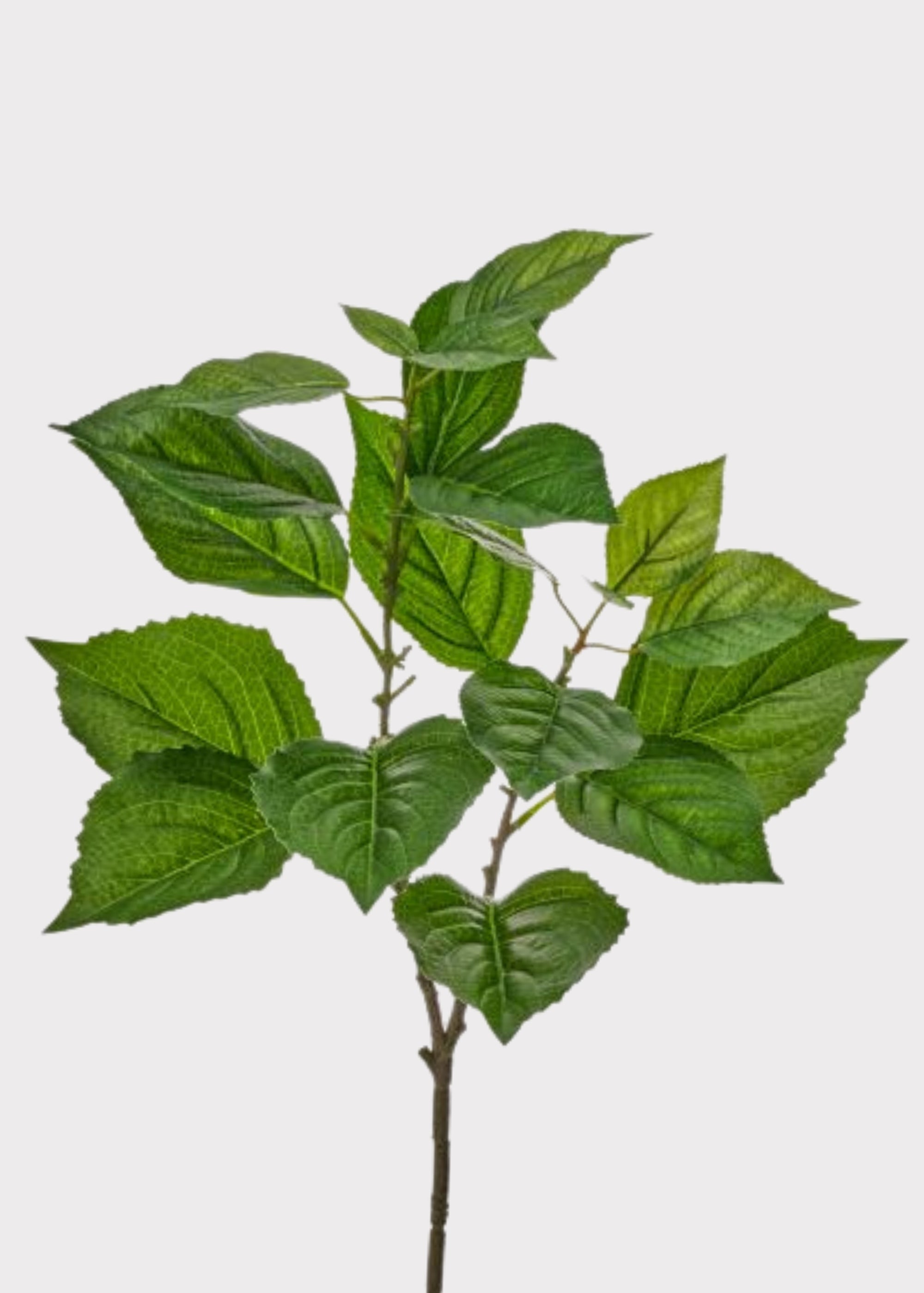 Green Real Touch Artificial Hydrangea Spray for Vase Styling