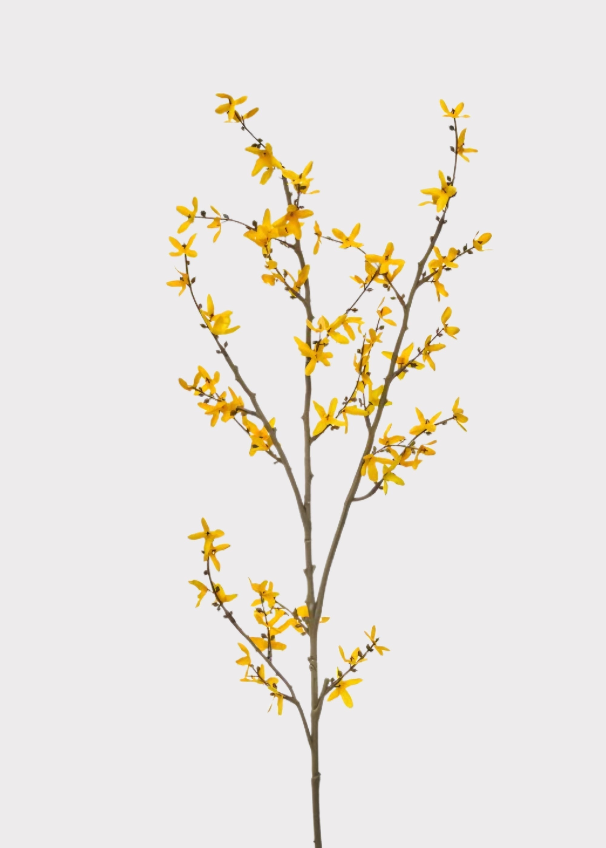 Golden Yellow Artificial Forsythia Branch for Vase Styling