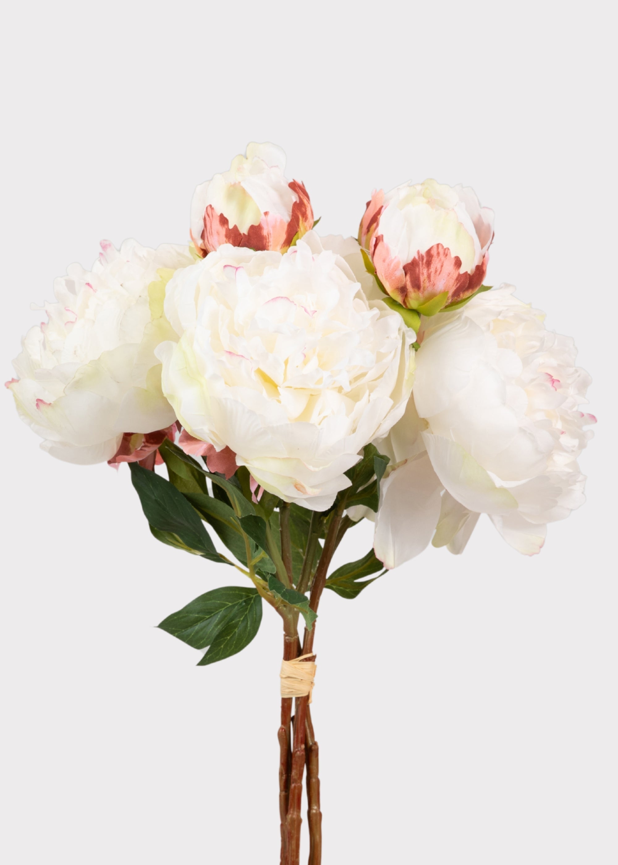 Cream Artificial Peony Bundle for Vase Styling