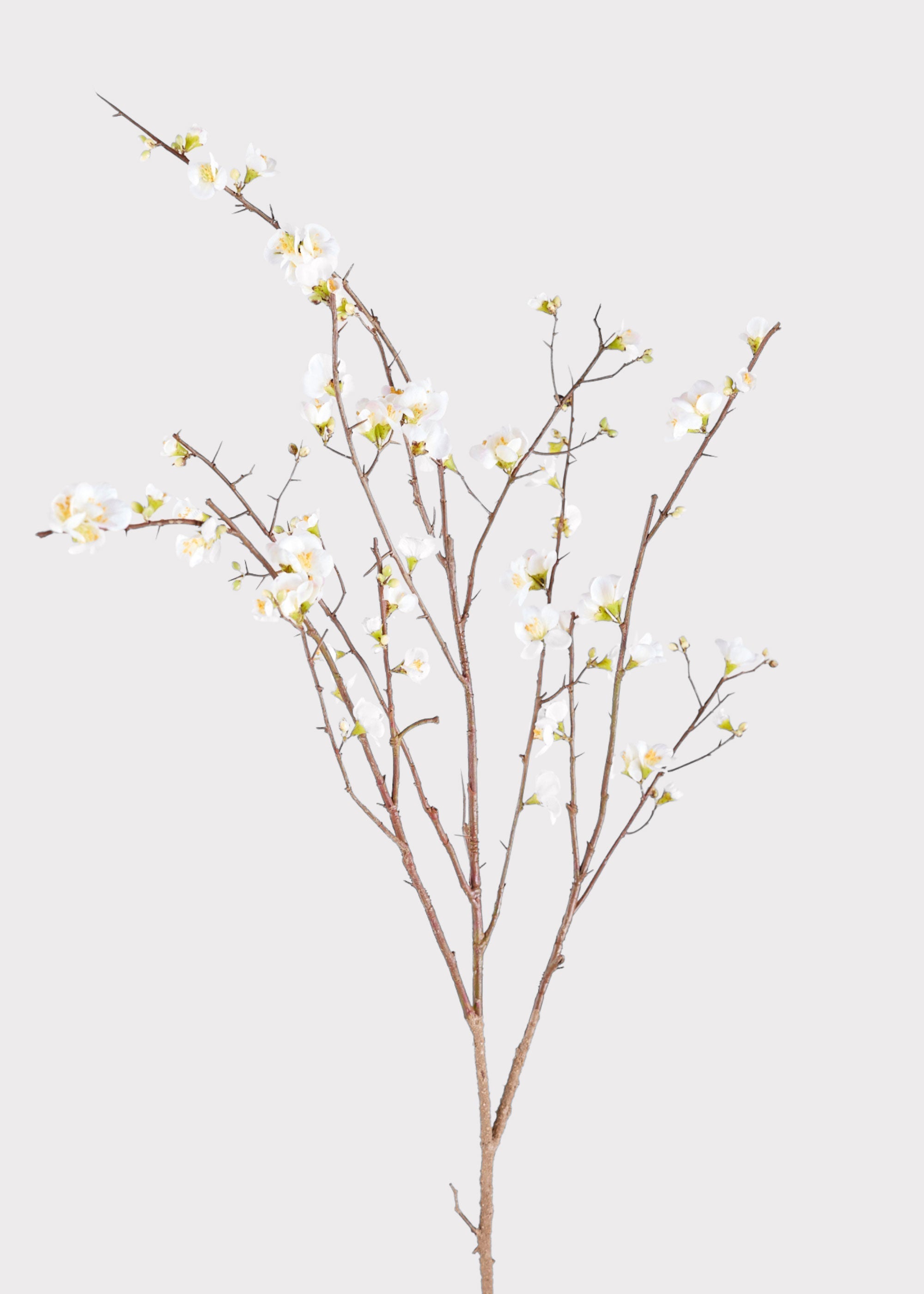 Cream Artificial Cherry Blossom Branch for Vase Styling