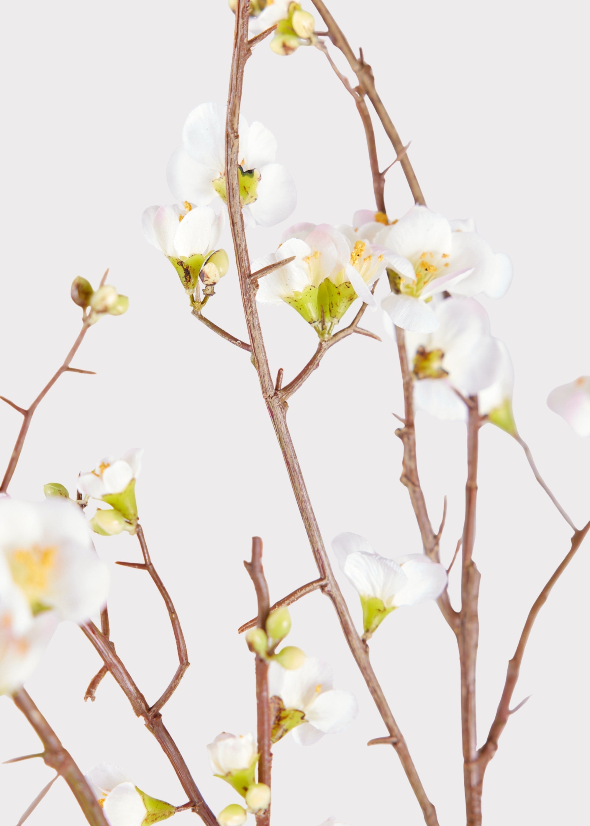 Cream Artificial Cherry Blossom Branch for Table Centerpiece