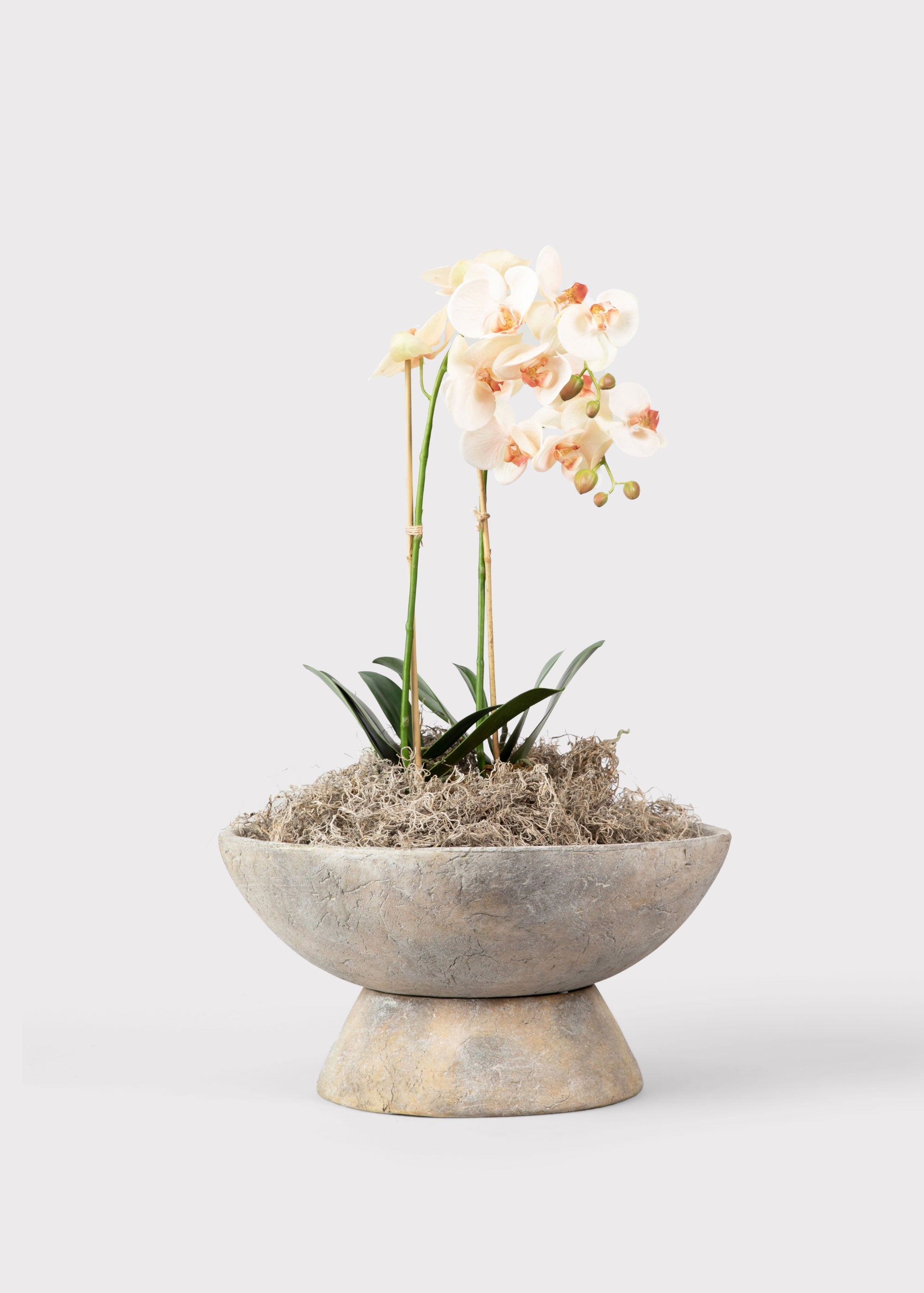 Blush Artificial Orchid Arrangement for Home Decor