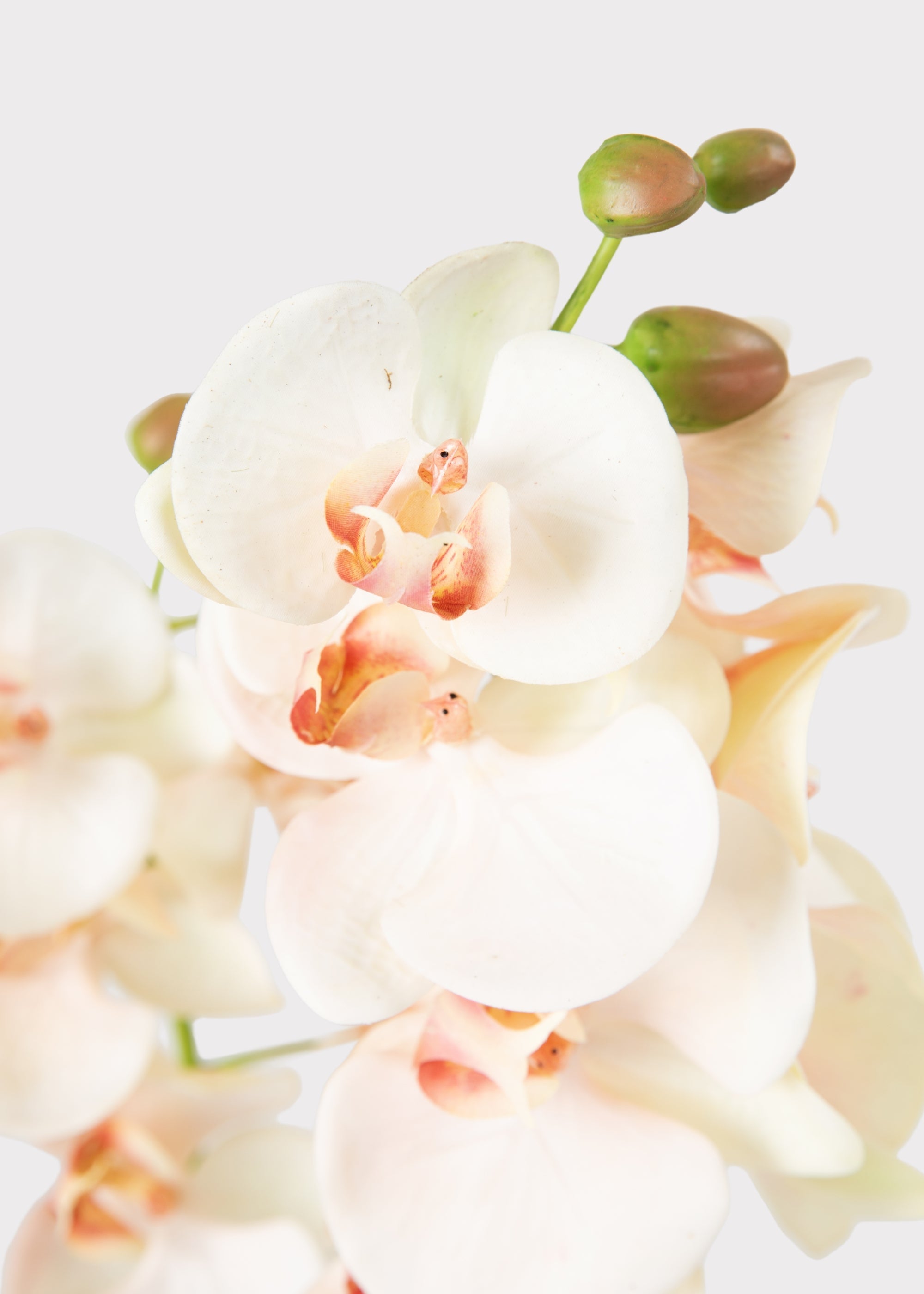 Blush Artificial Orchid Arrangement for Table Centerpiece