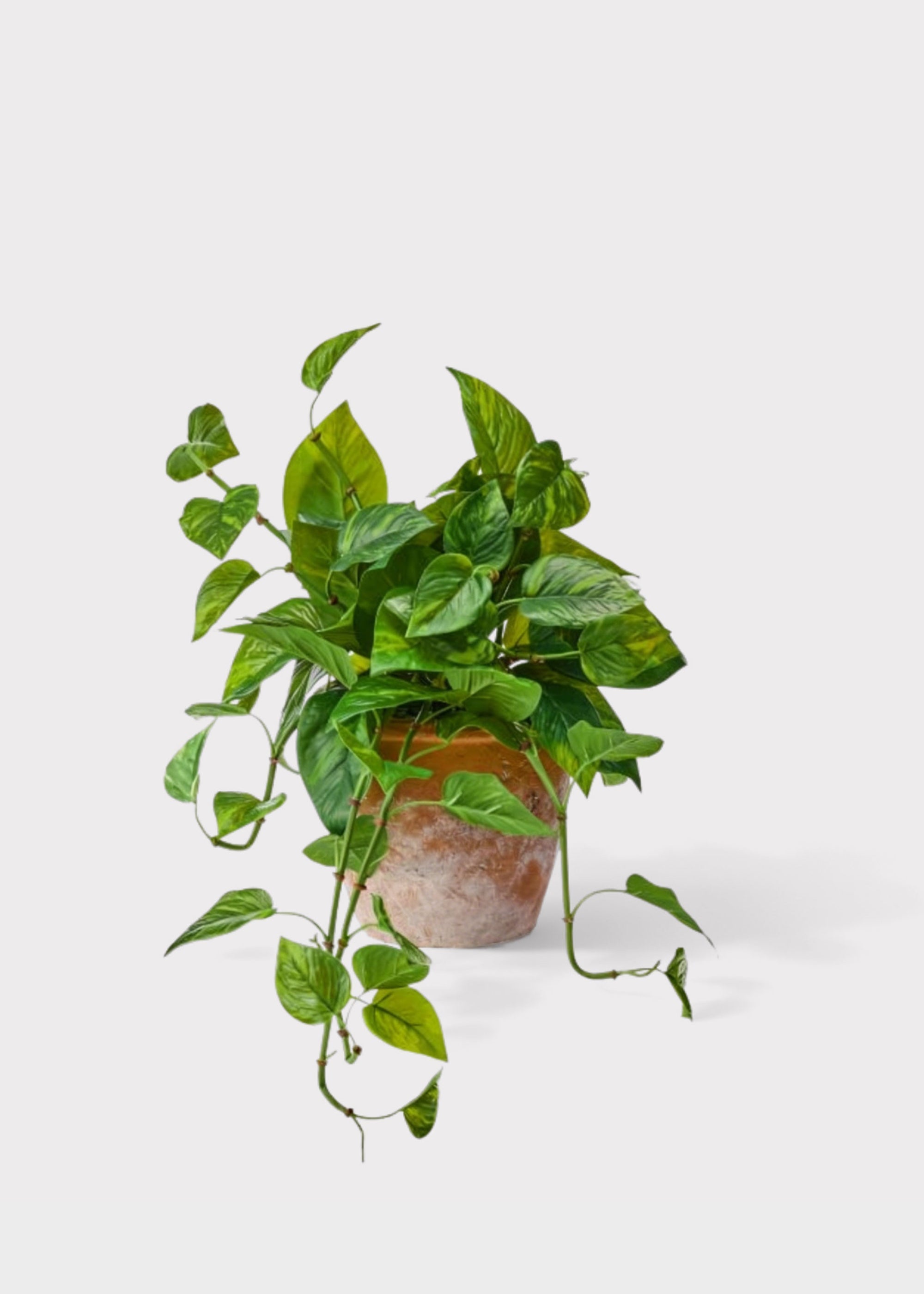 Green Artificial Outdoor Pothos Real Touch Potted for Vase Styling
