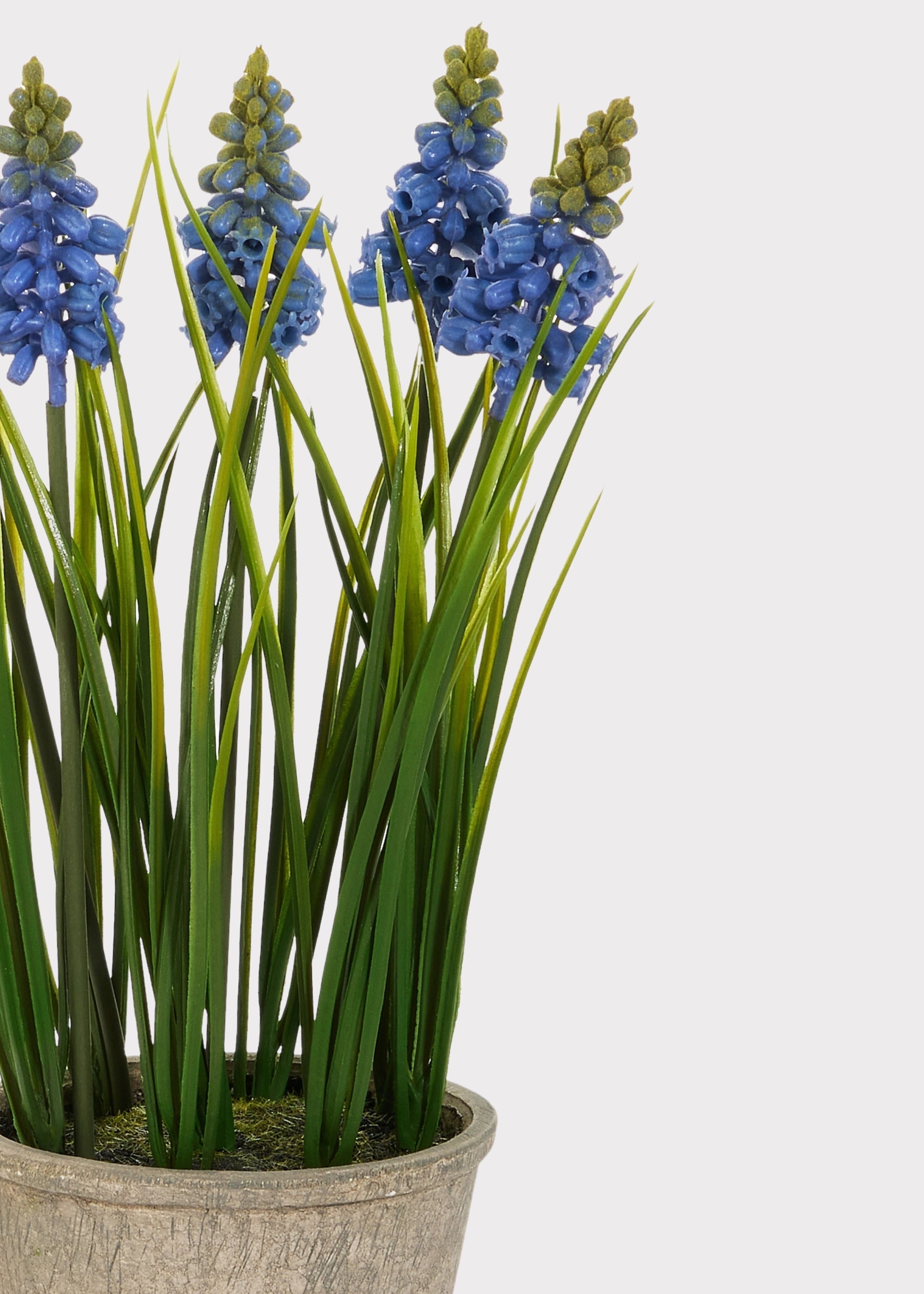 Blue Artificial Blooming Grape Hyacinth Potted for Home Decor