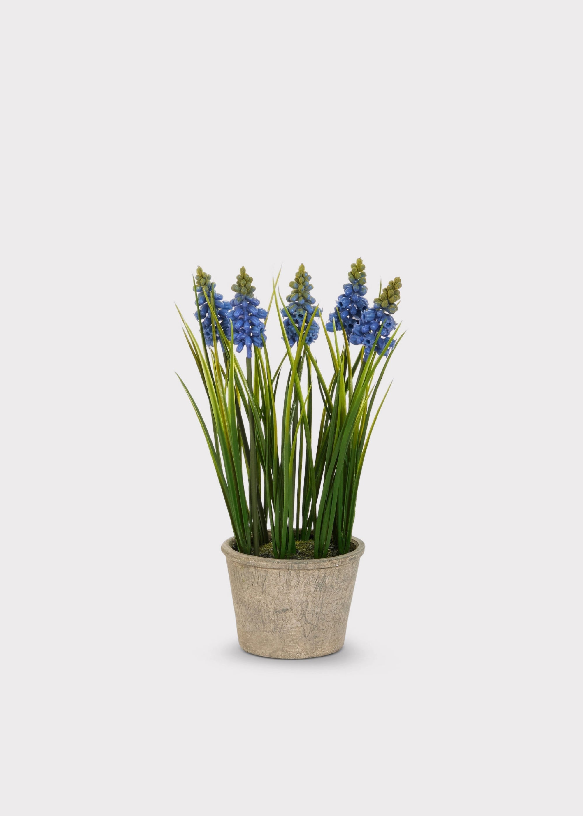 Blue Artificial Blooming Grape Hyacinth Potted for Vase Styling